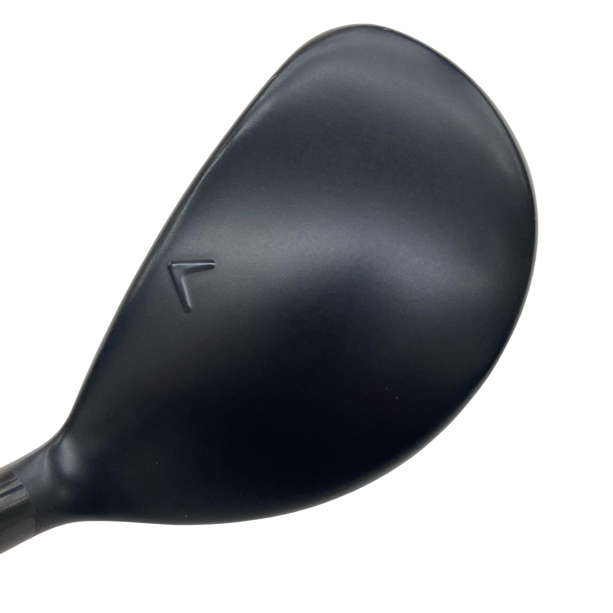 �w�q�@�P�U�@�n�r�@�t�R