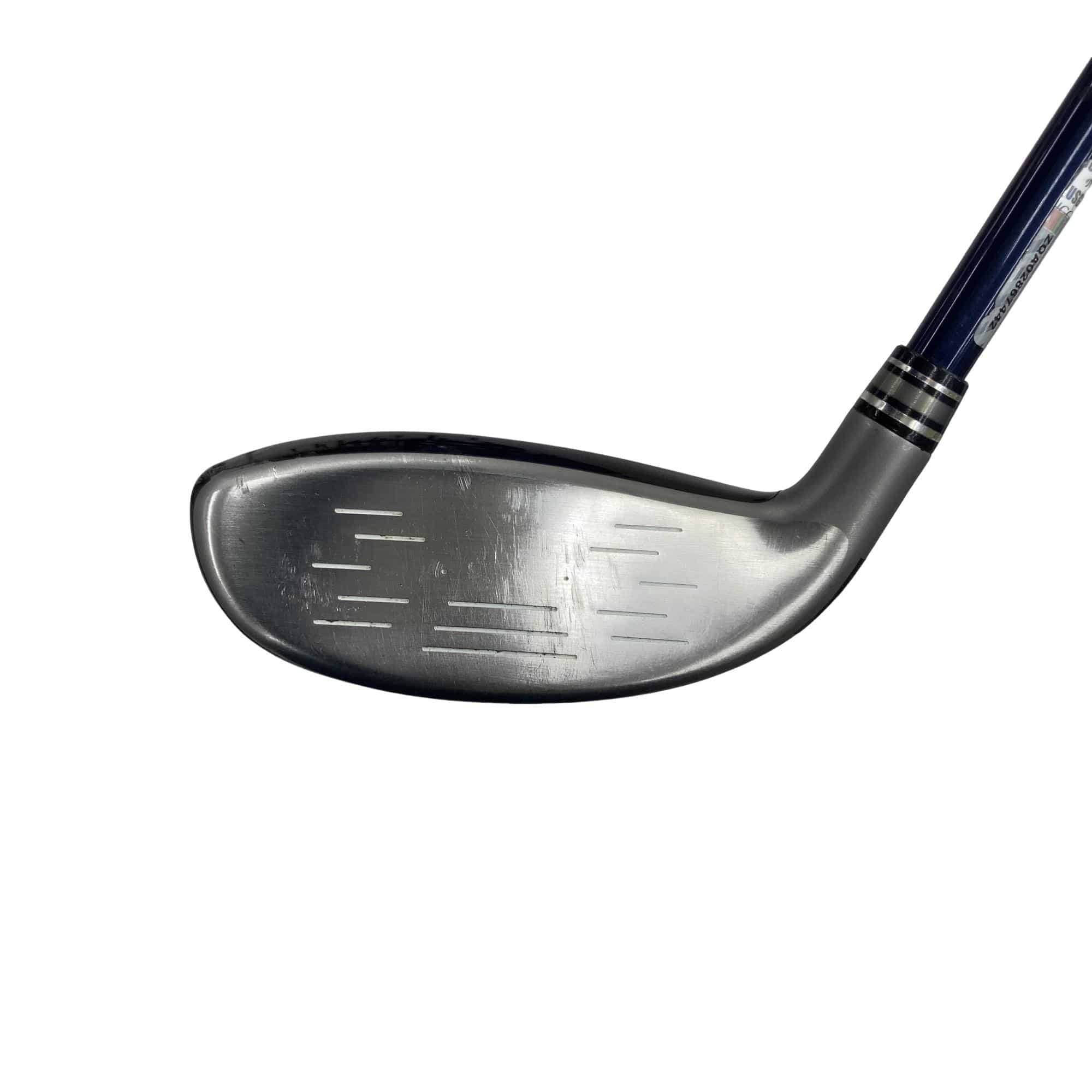 �w�w�h�n�i�Q�O�P�W�j�@�g�T