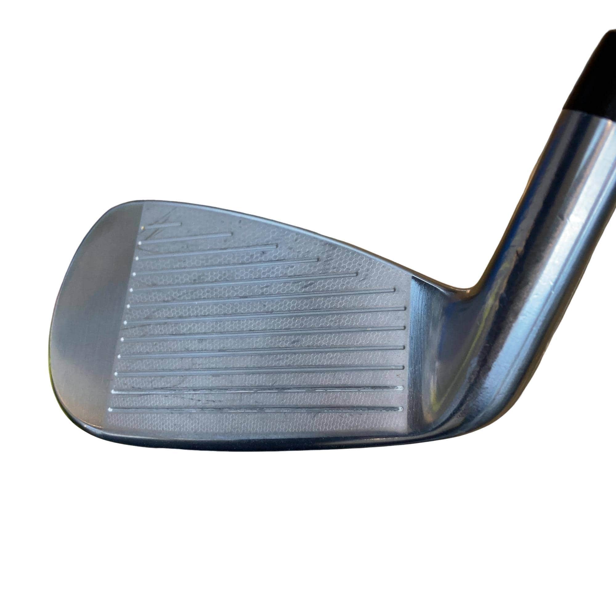 �������������@�q�l�w�@�t�c�{�Q�@�V�r�i���{���F�T�{�Z�b�g�j