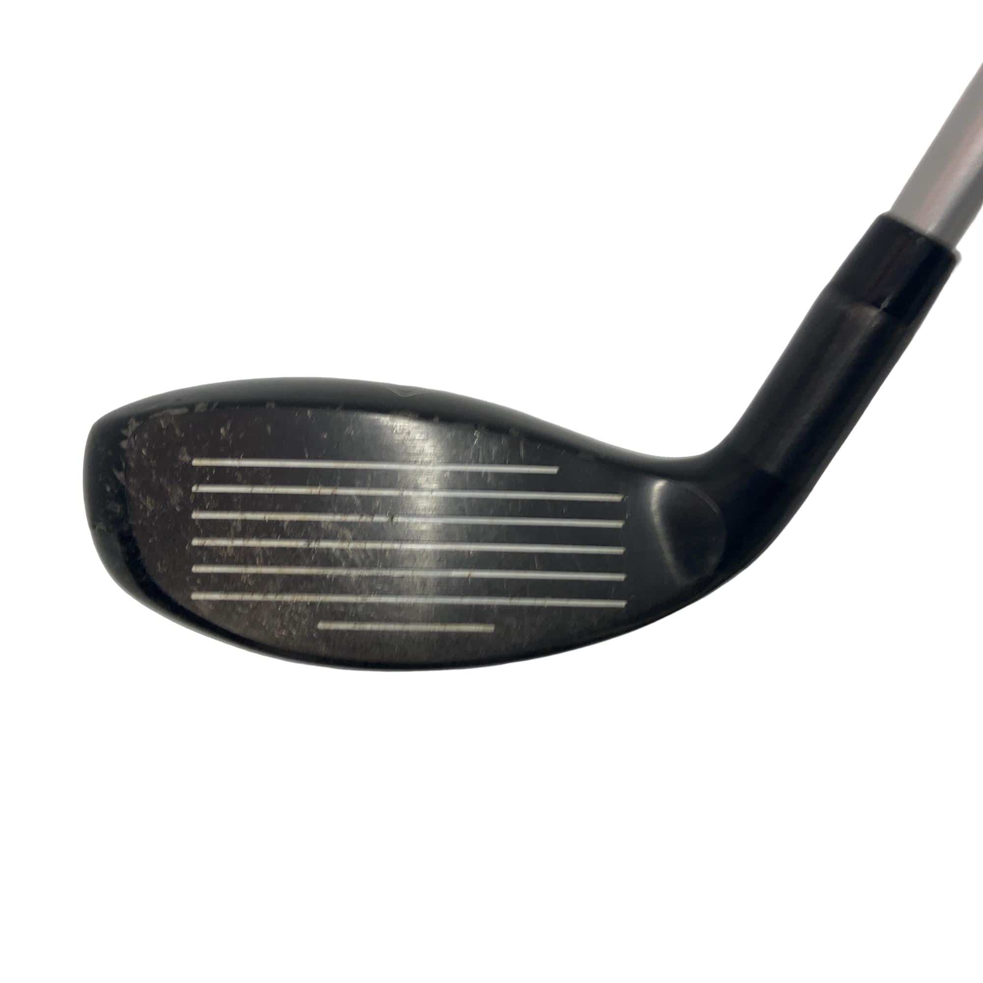 �w�Q�@�g�n�s�@�t�T�@���f�B�[�X