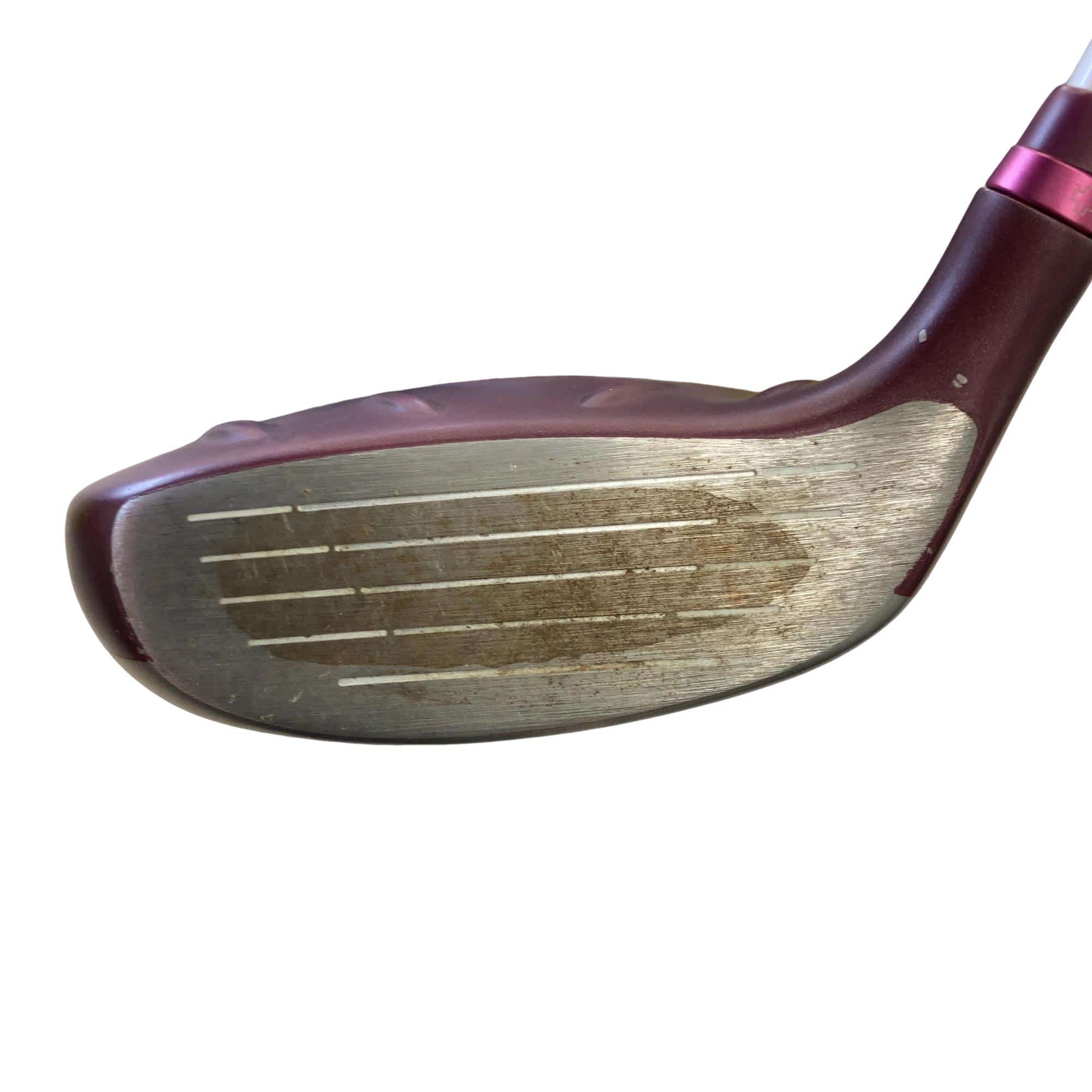 �f�@�k���Q�@�V�v�@���f�B�[�X