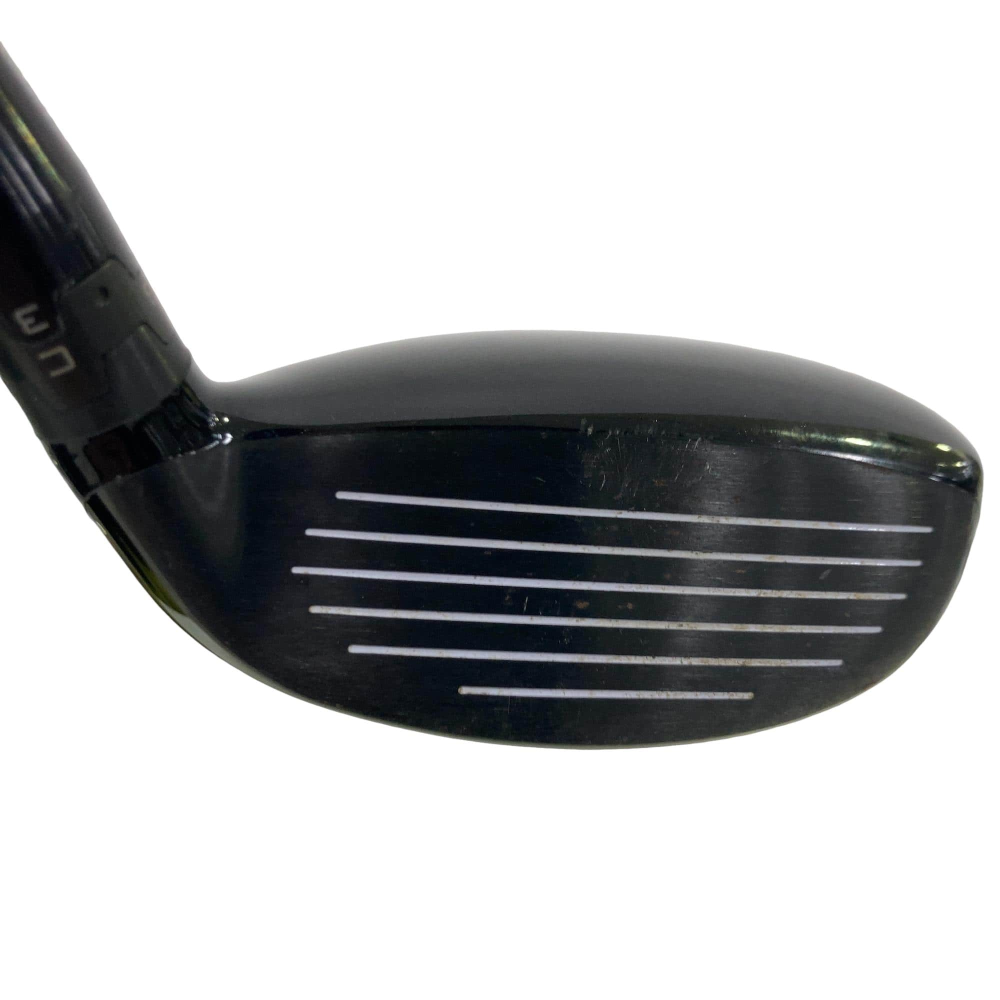 �X�P�T�@�g�@�t�S�@���t�e�B