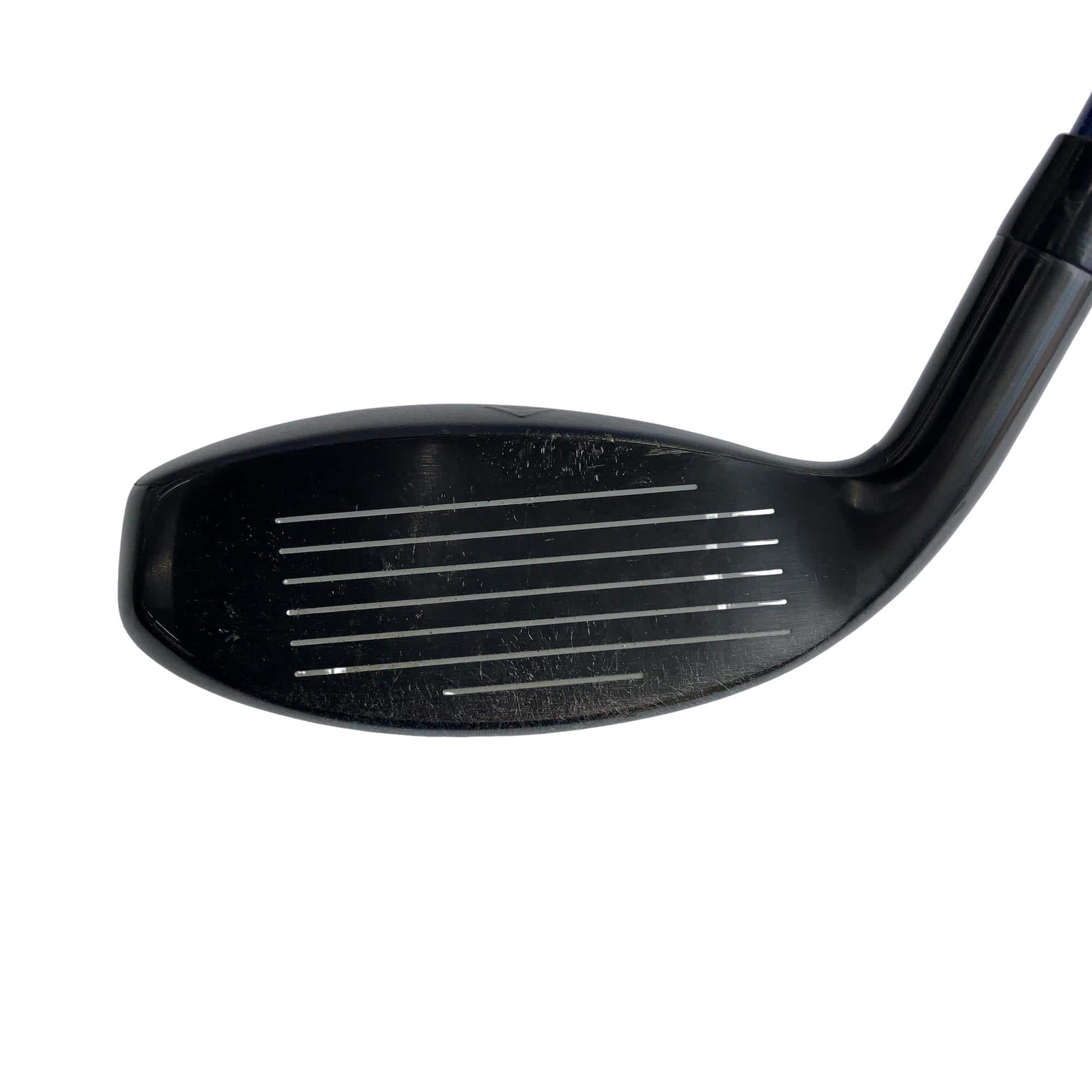 �w�q�@�t�S