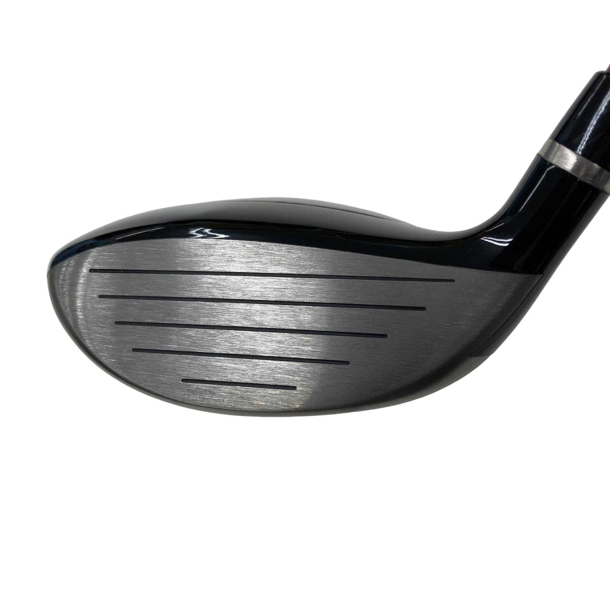 �q�l�w�@�u�c�@�T�v