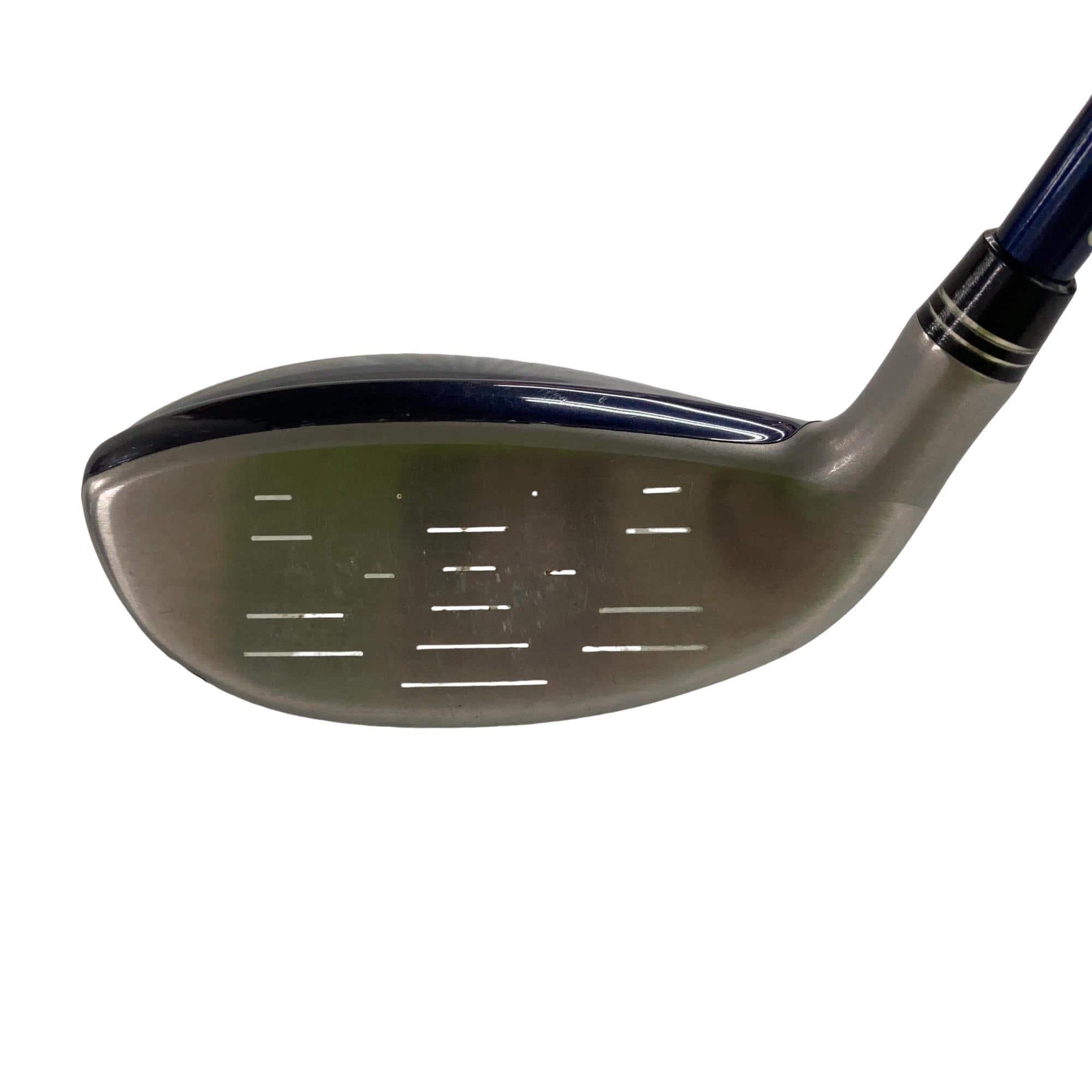 �w�w�h�n�i�Q�O�P�U�j�@�t�V�@���f�B�[�X