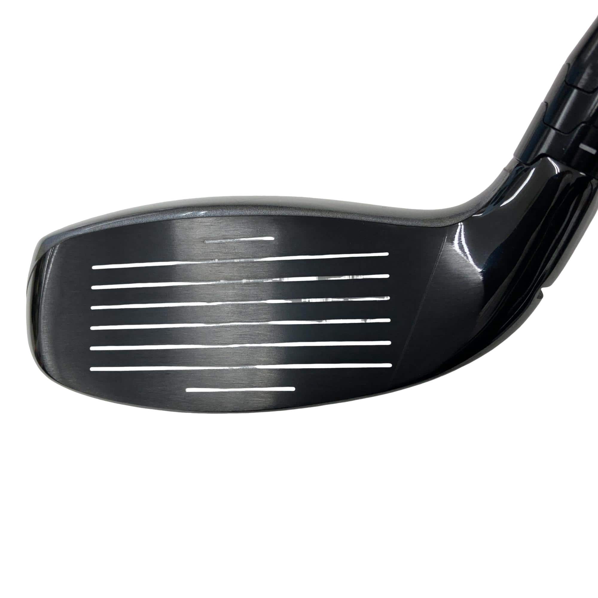 �`�o�d�w�@�s���@�r�t�o�d�q�@�g�x�a�q�h�c�i�Q�O�Q�U�j�@�Q�S°