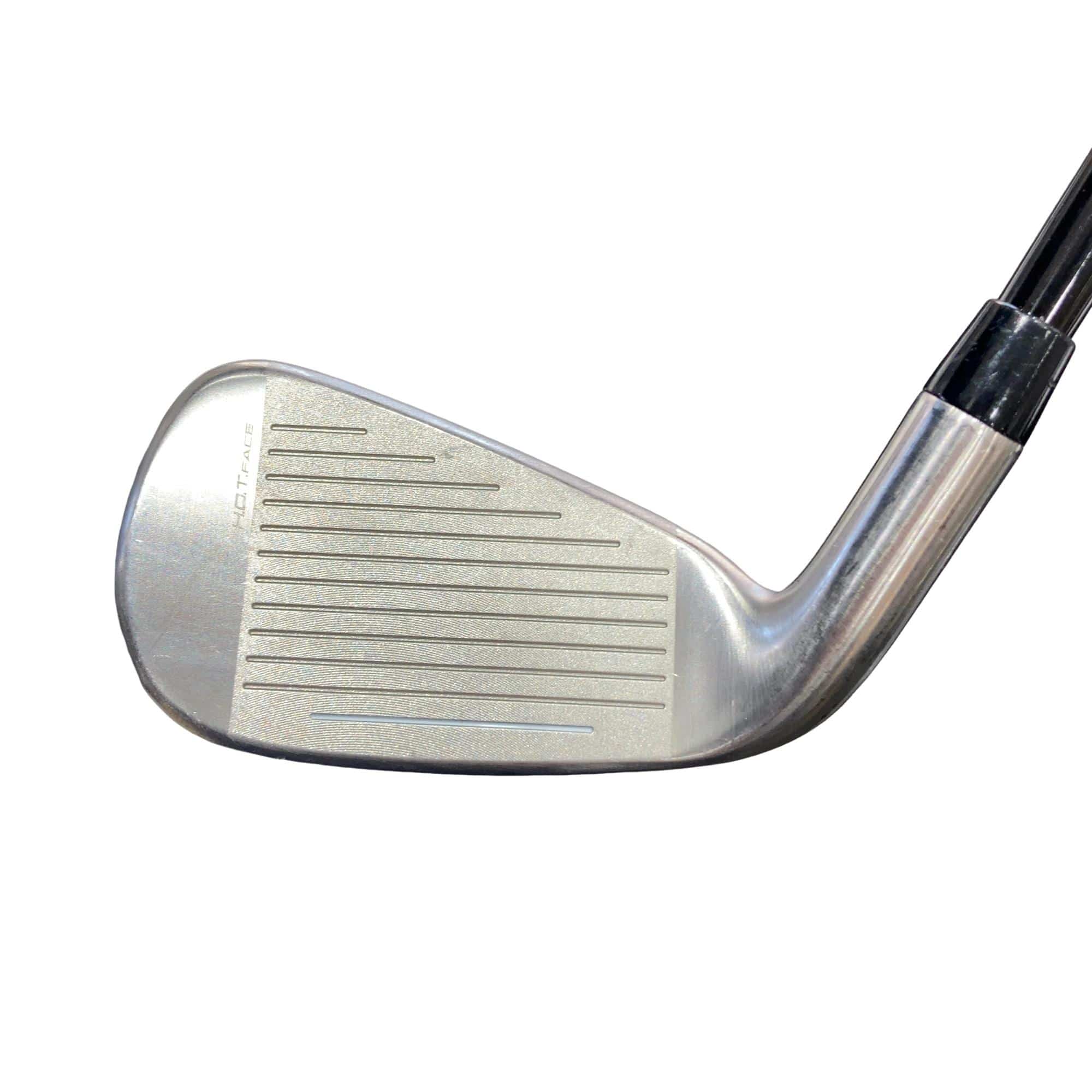 �����������@�`�d�q�n�i�d�s�@�T�r�i���{���F�T�{�Z�b�g�j