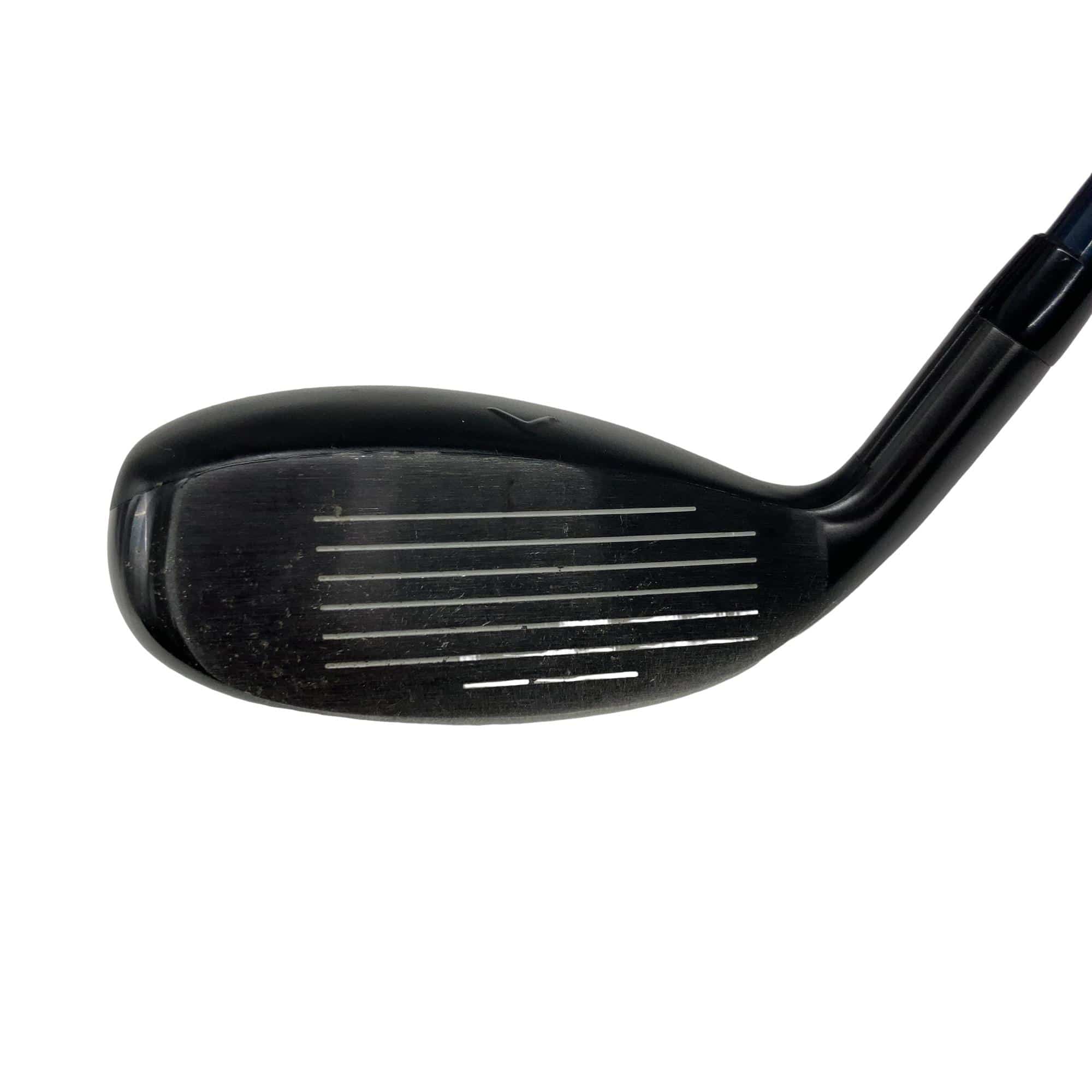 �w�q�@�P�U�@�n�r�@�t�T