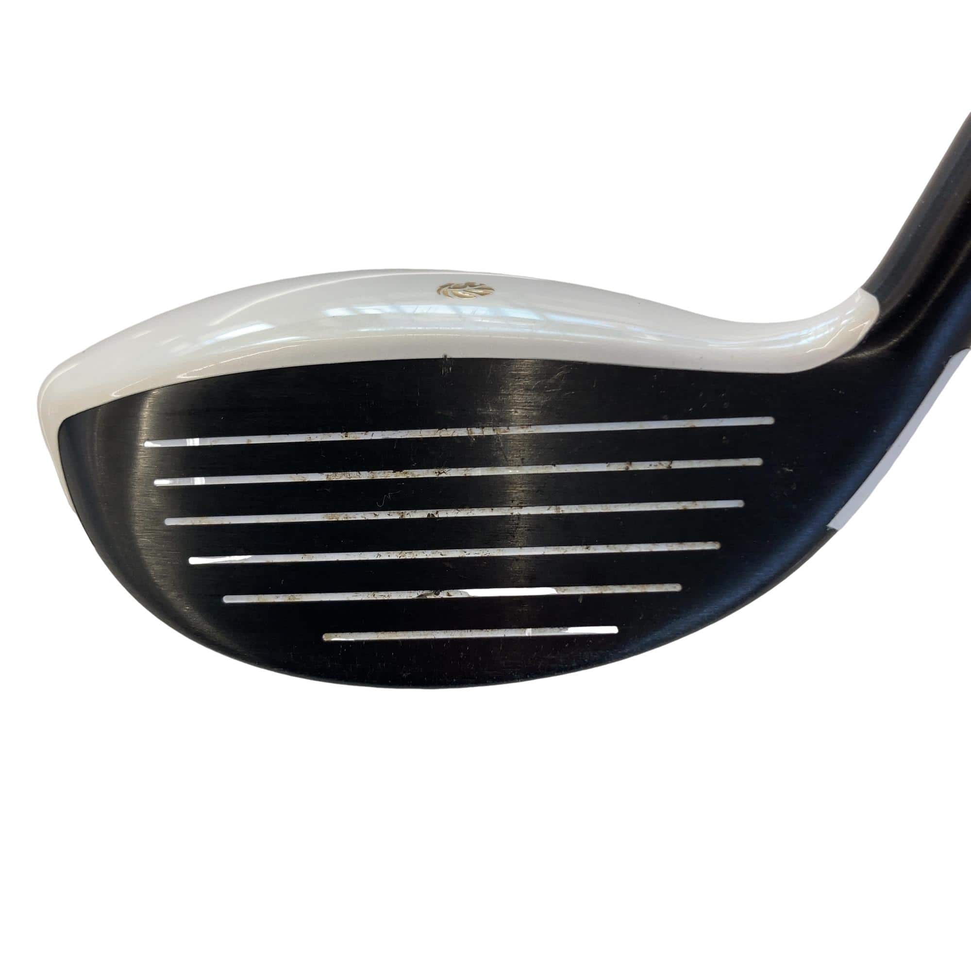 �f�k�n�h�q�d�@�e�i�Q�O�P�U�j�@�T�v