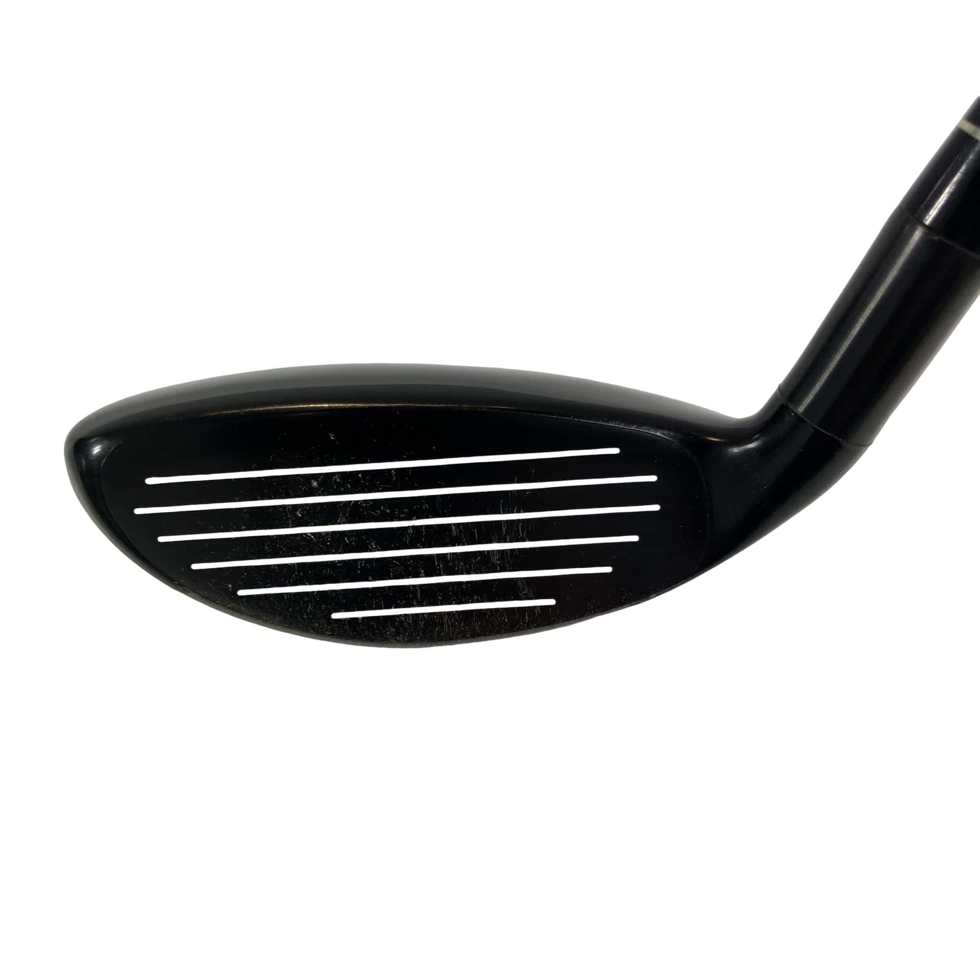 �w�@�g�n�s�@�t�T