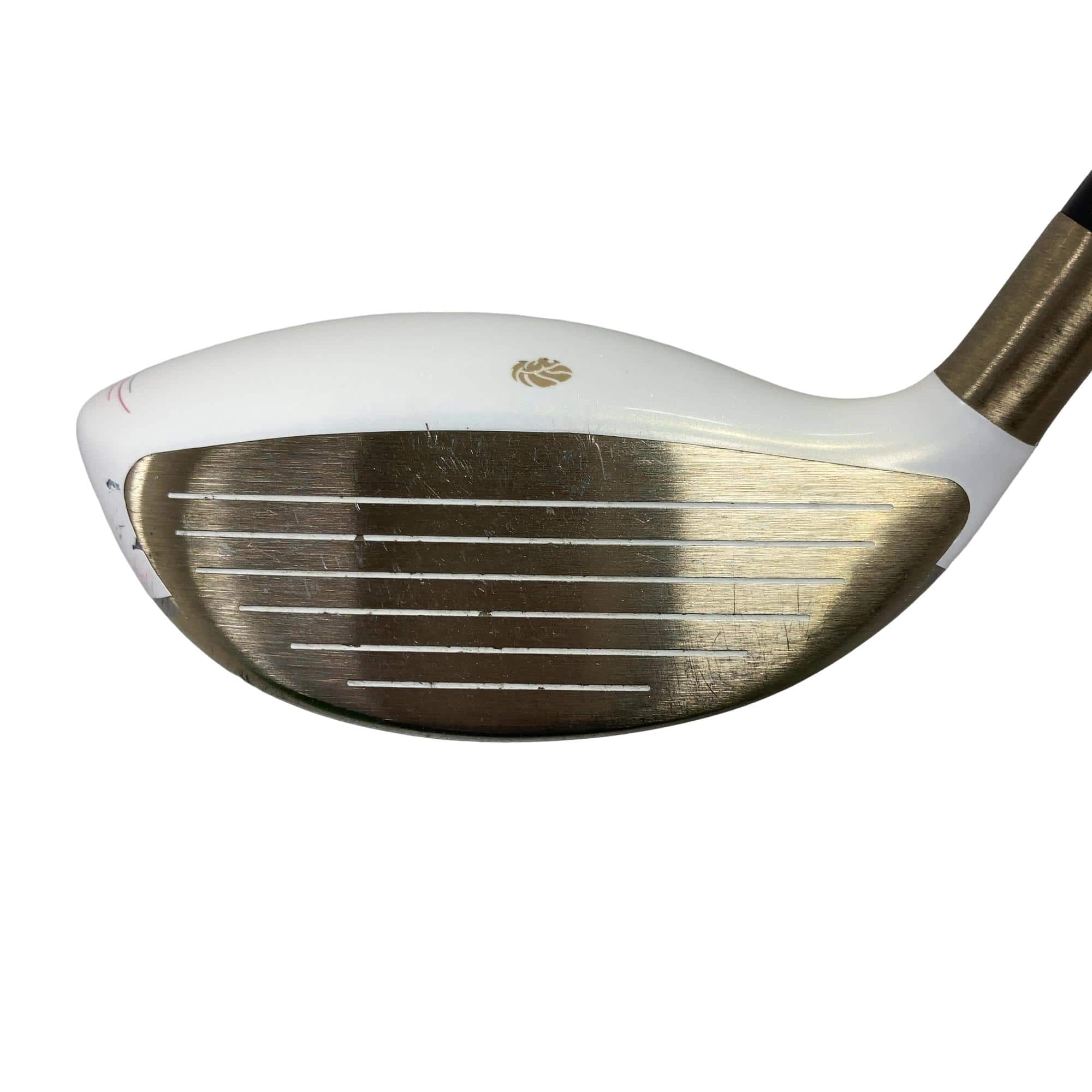 �f�k�n�h�q�d�@�e�@�T�v�@���f�B�[�X