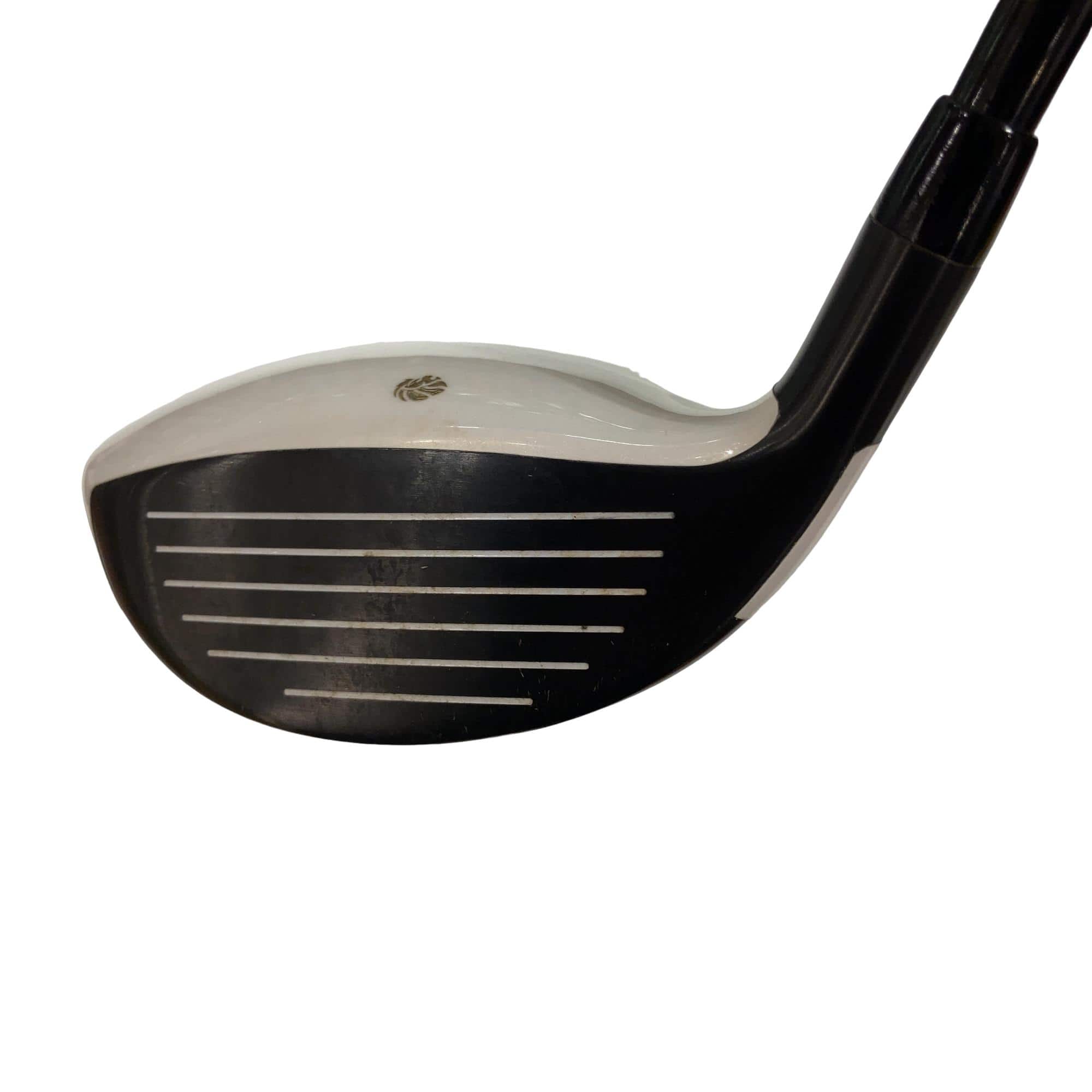 �f�k�n�h�q�d�@�e�i�Q�O�P�U�j�@�T�v