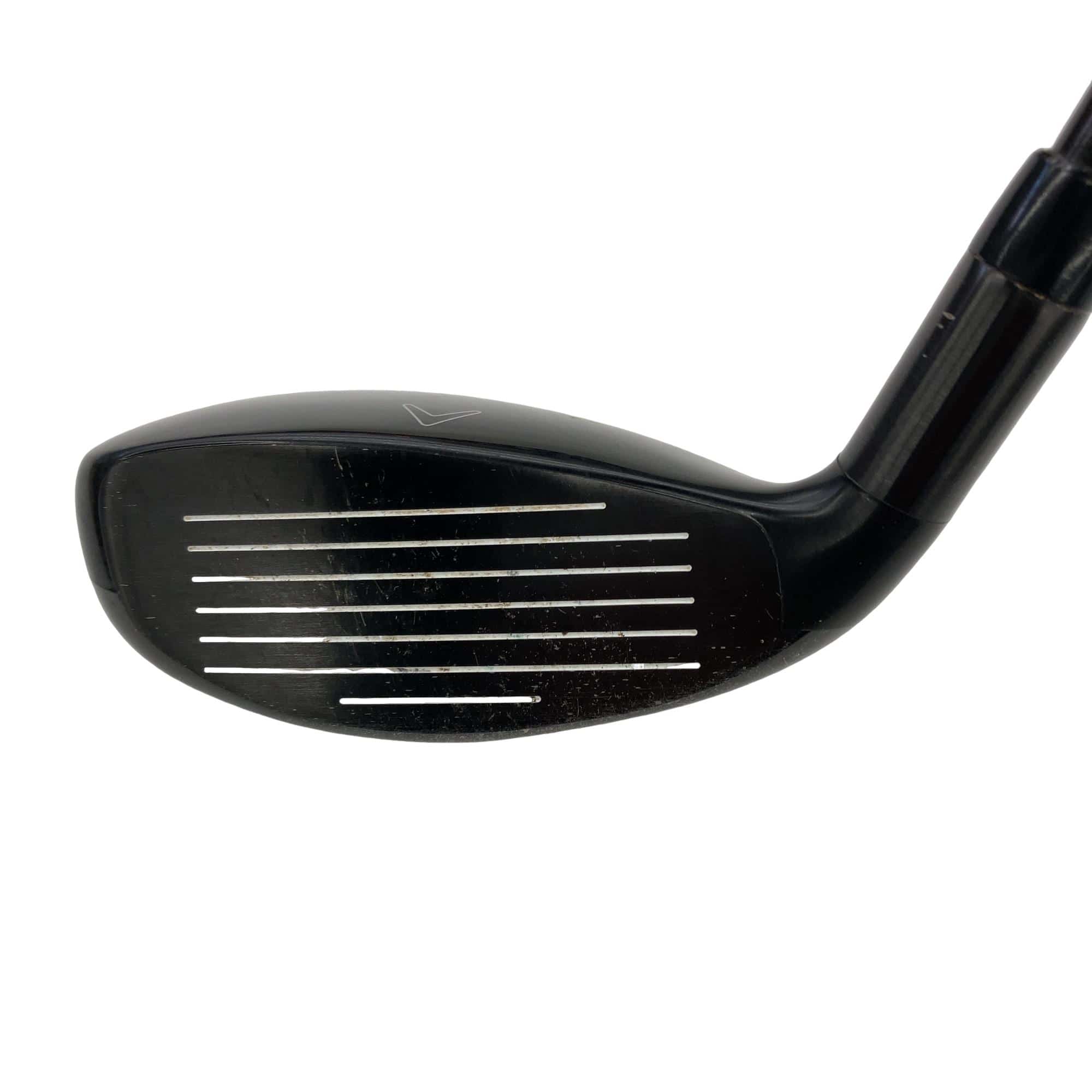 �w�Q�@�g�n�s�@�t�R