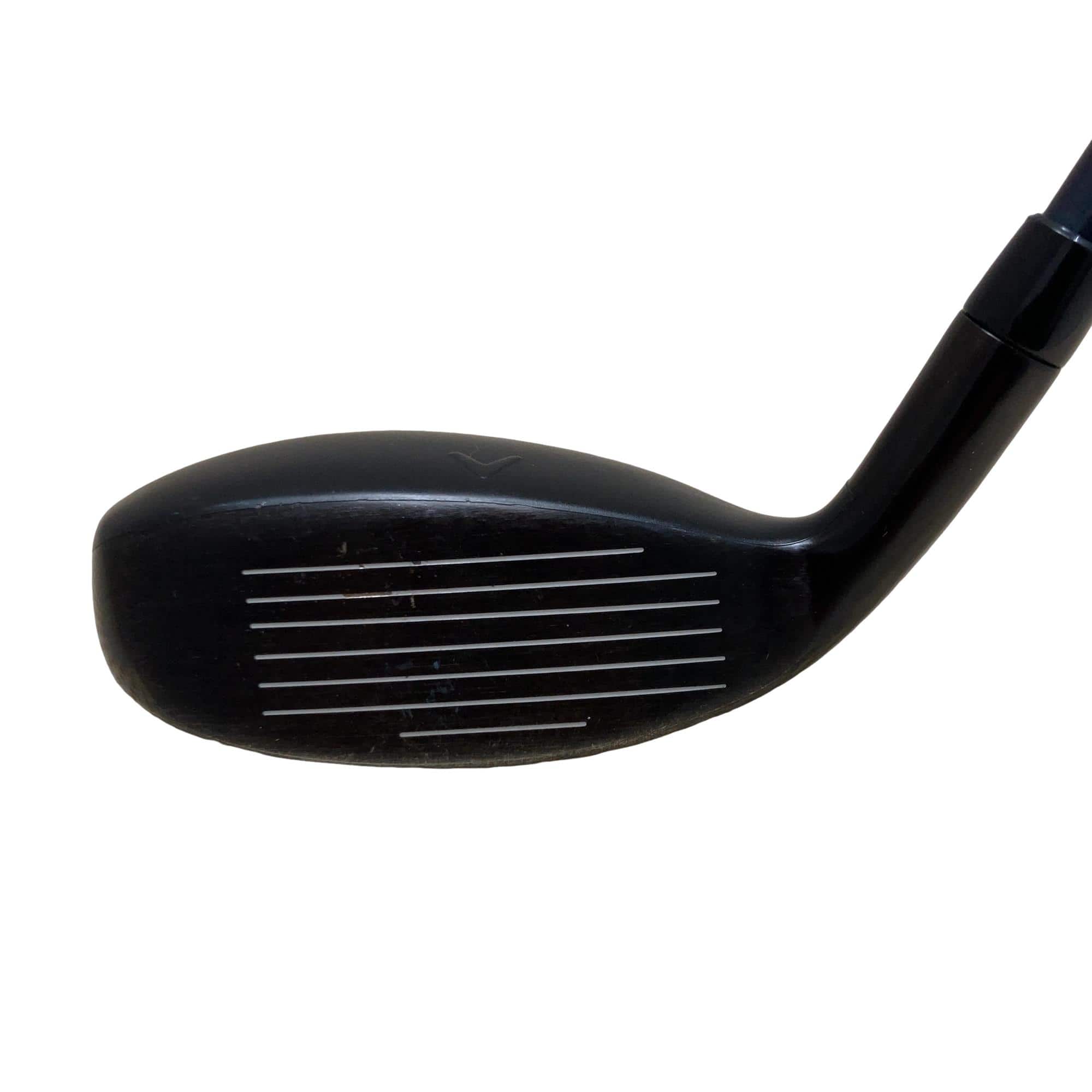 �w�q�@�P�U�@�n�r�@�t�R