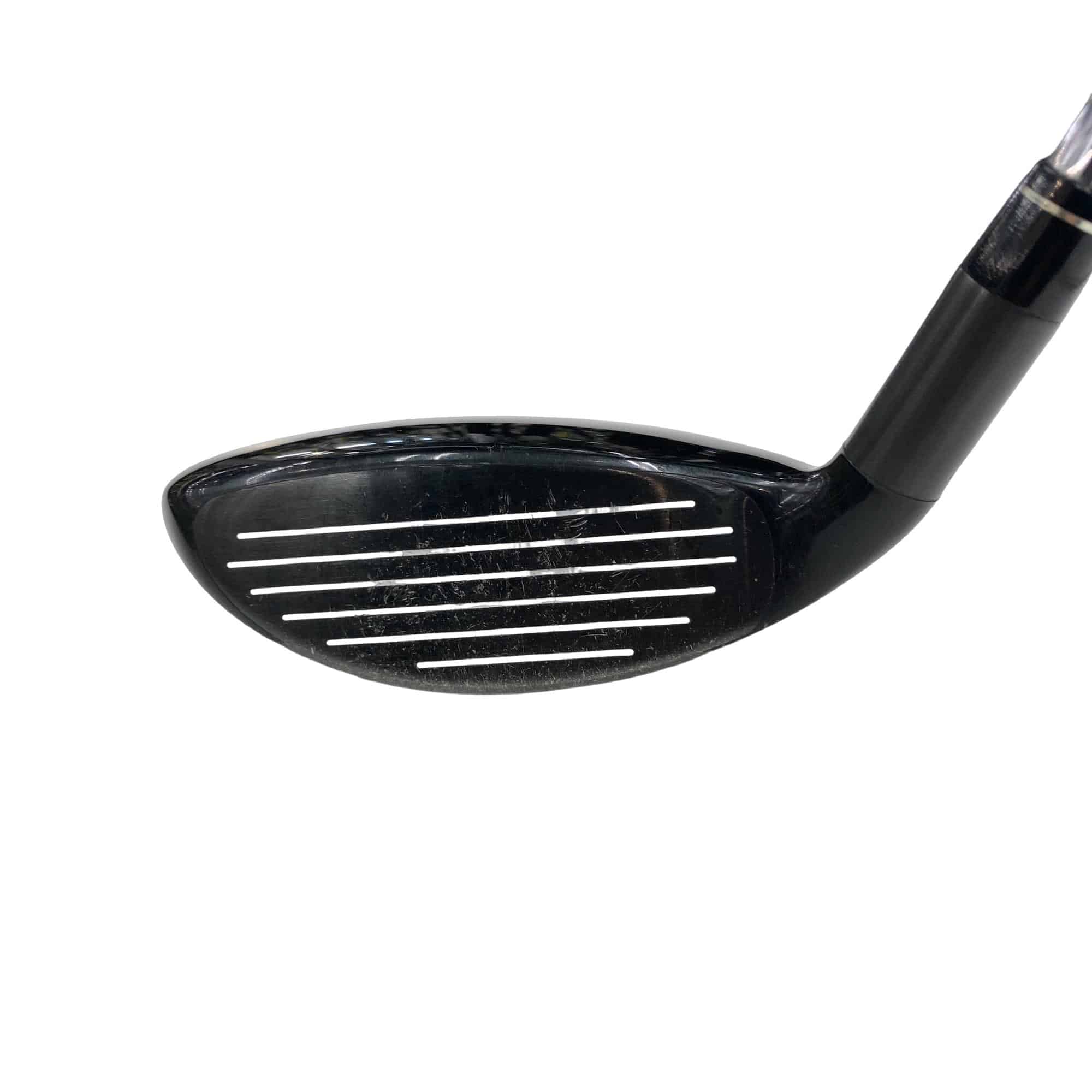 �w�@�g�n�s�@�t�S