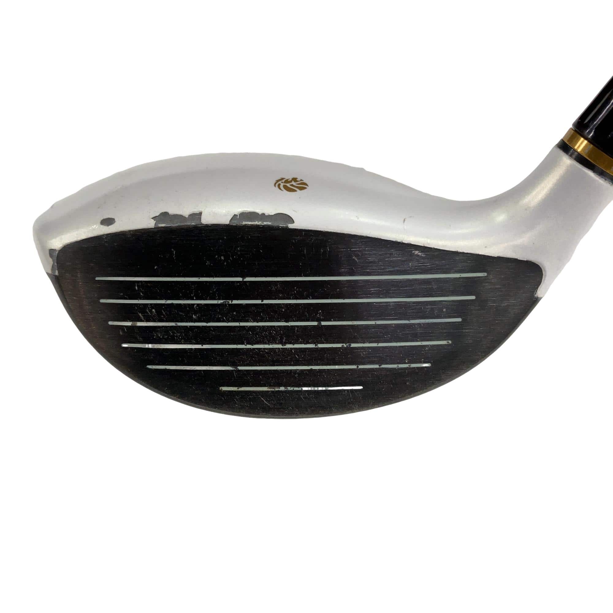 �f�k�n�h�q�d�@�T�v