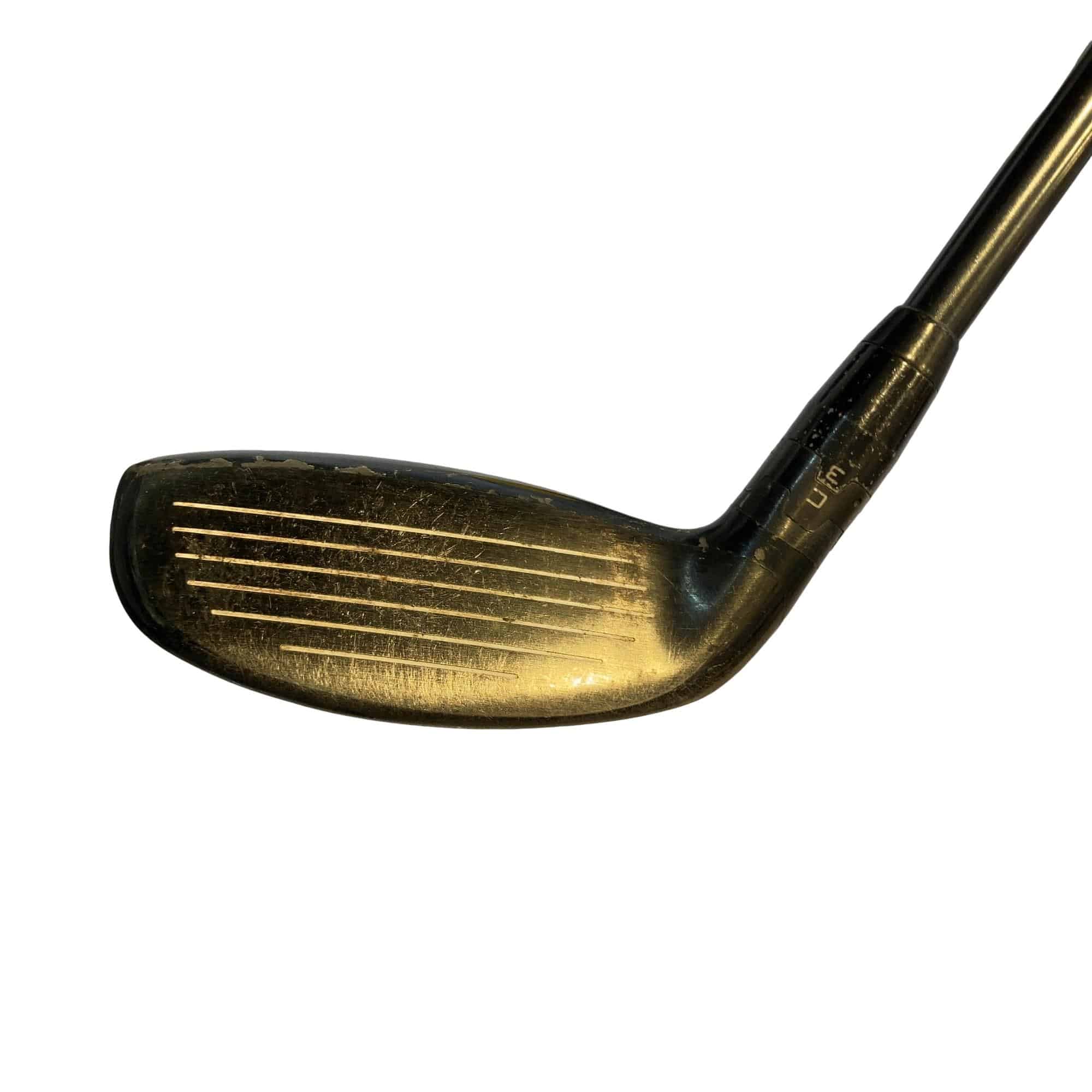 �X�P�T�@�g�@�t�S