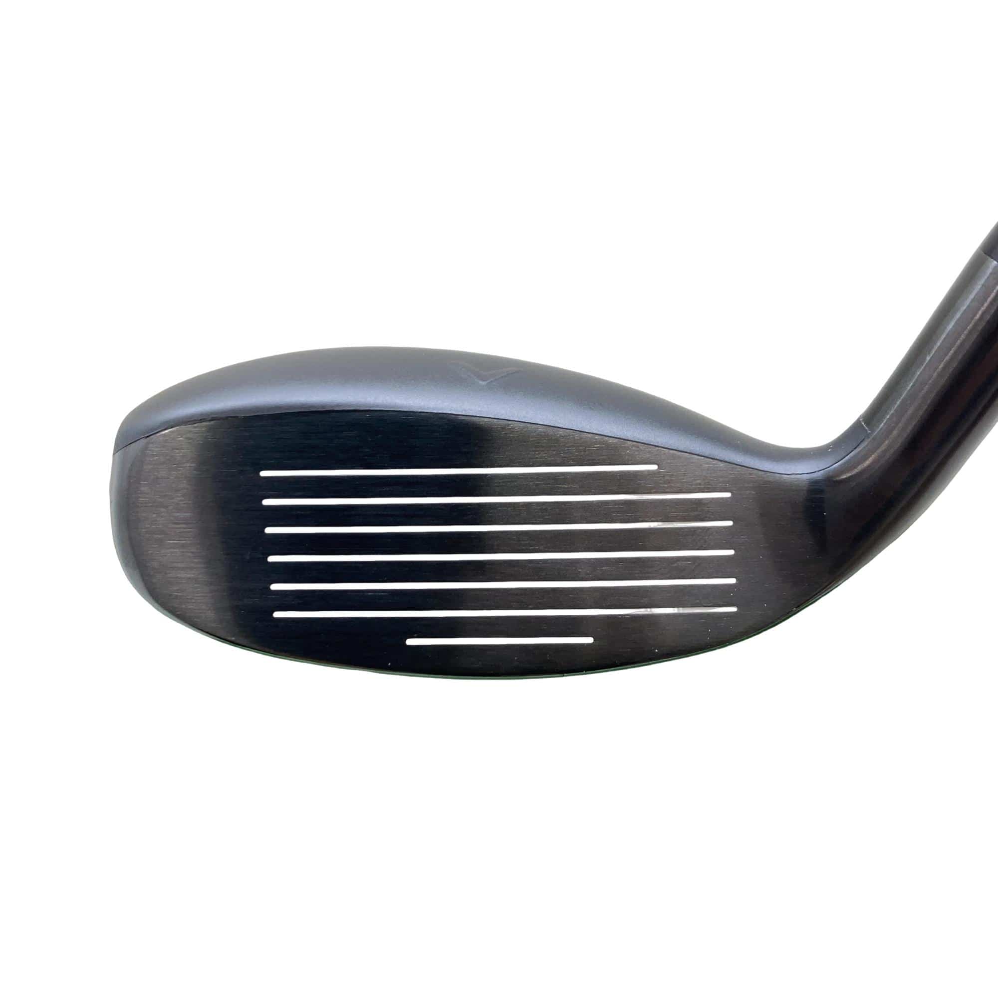 �w�q�@�P�U�@�n�r�@�t�S