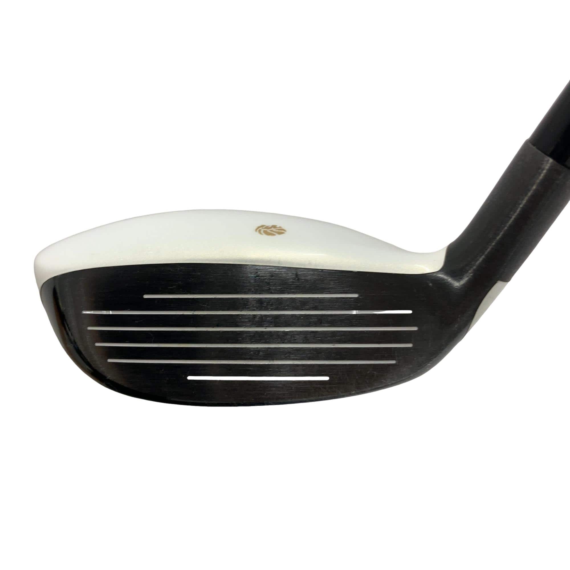 �f�k�n�h�q�d�@�f�@�t�T