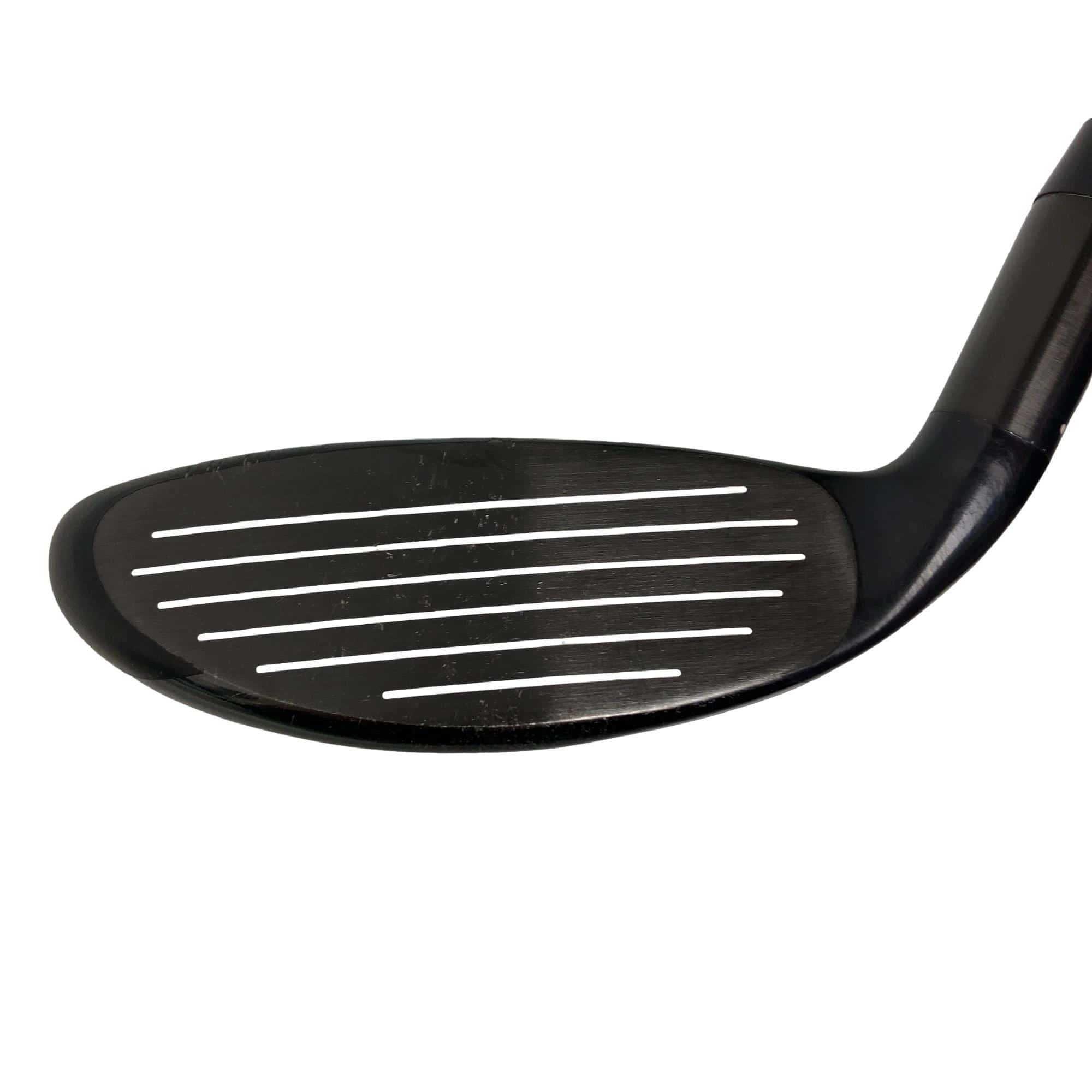 �w�@�g�n�s�@�t�S