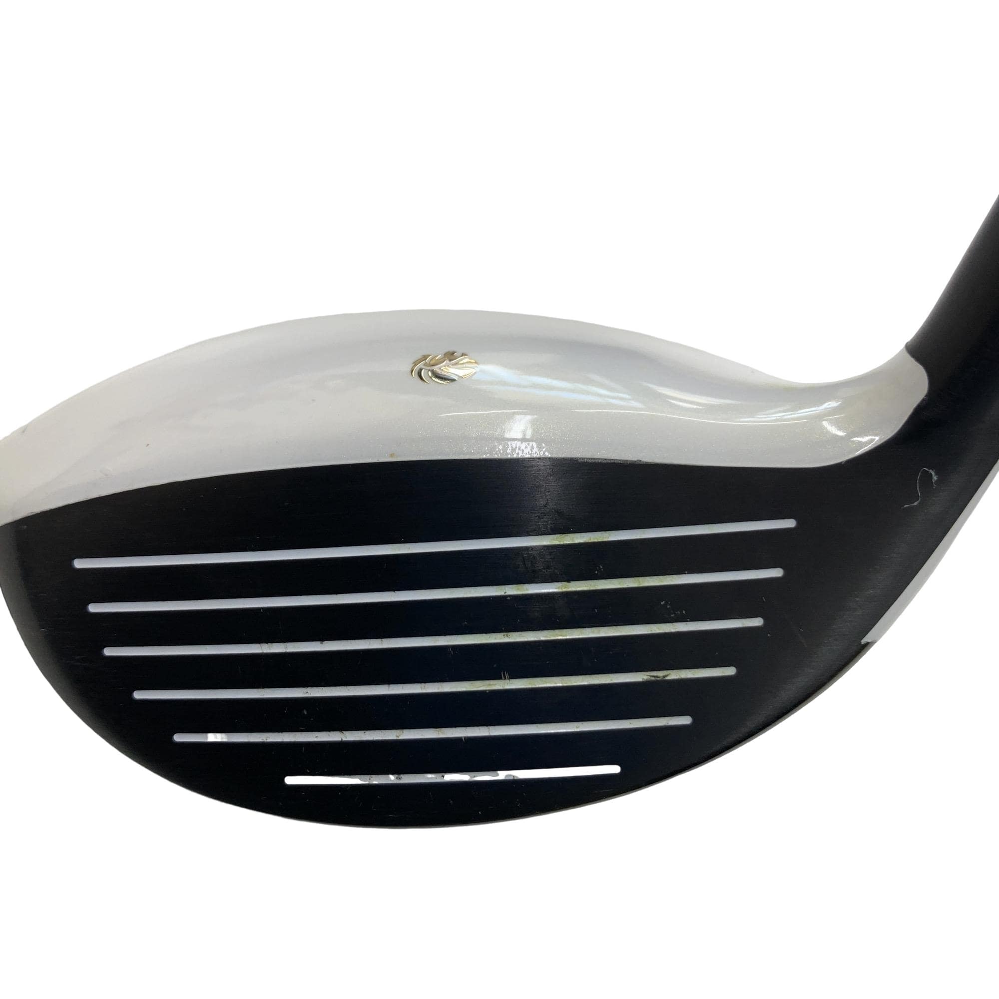 �f�k�n�h�q�d�@�e�i�Q�O�P�U�j�@�T�v