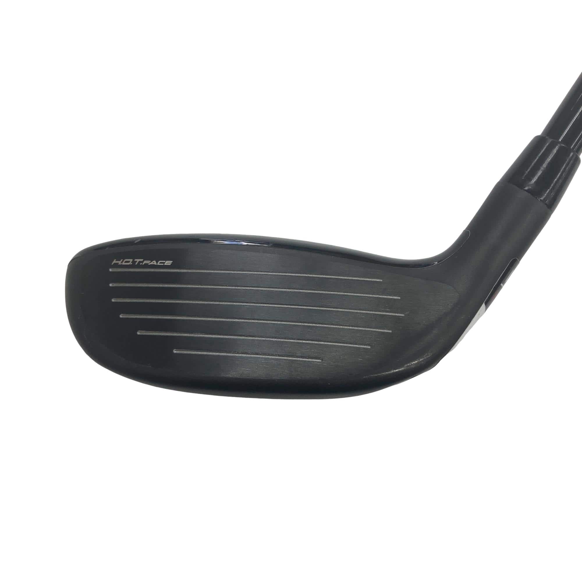 �����������@�`�d�q�n�i�d�s�@�t�S