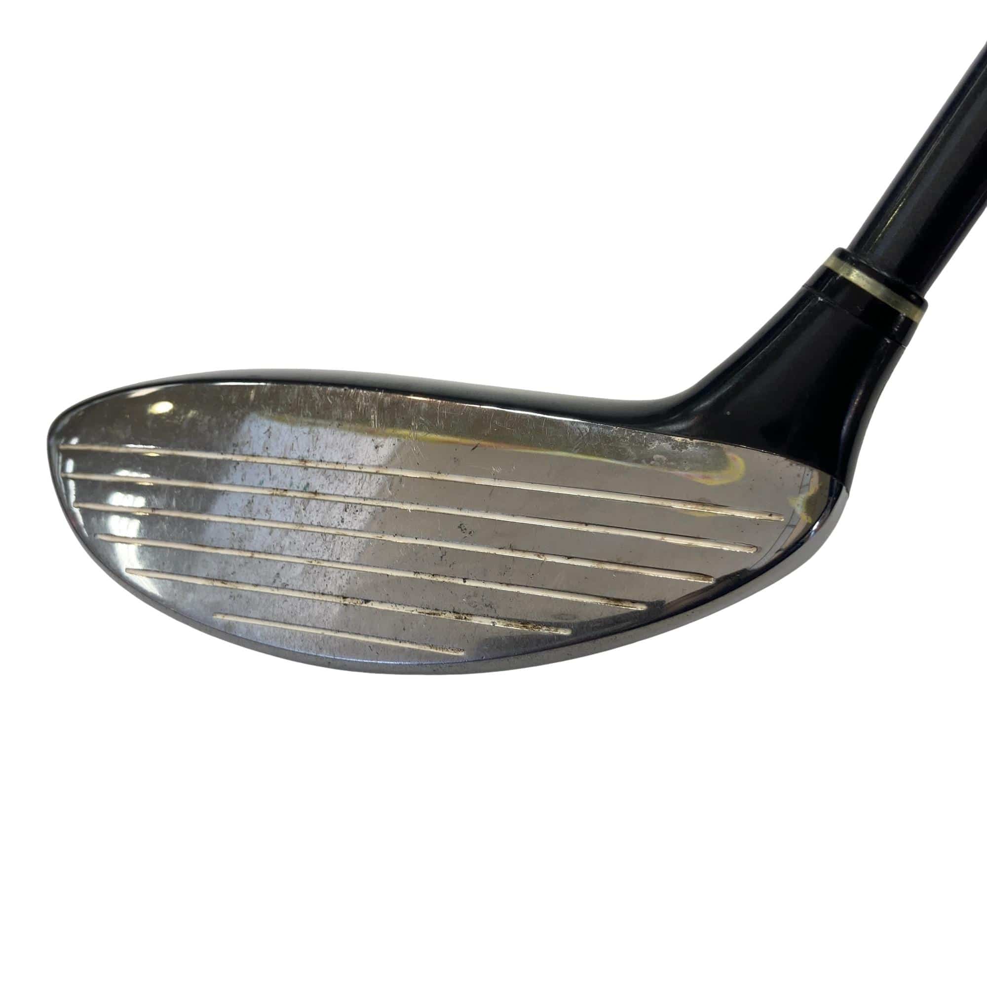 �o�n�v�d�q�@�s�n�q�m�`�c�n�@�d�|�r�������@�T�T