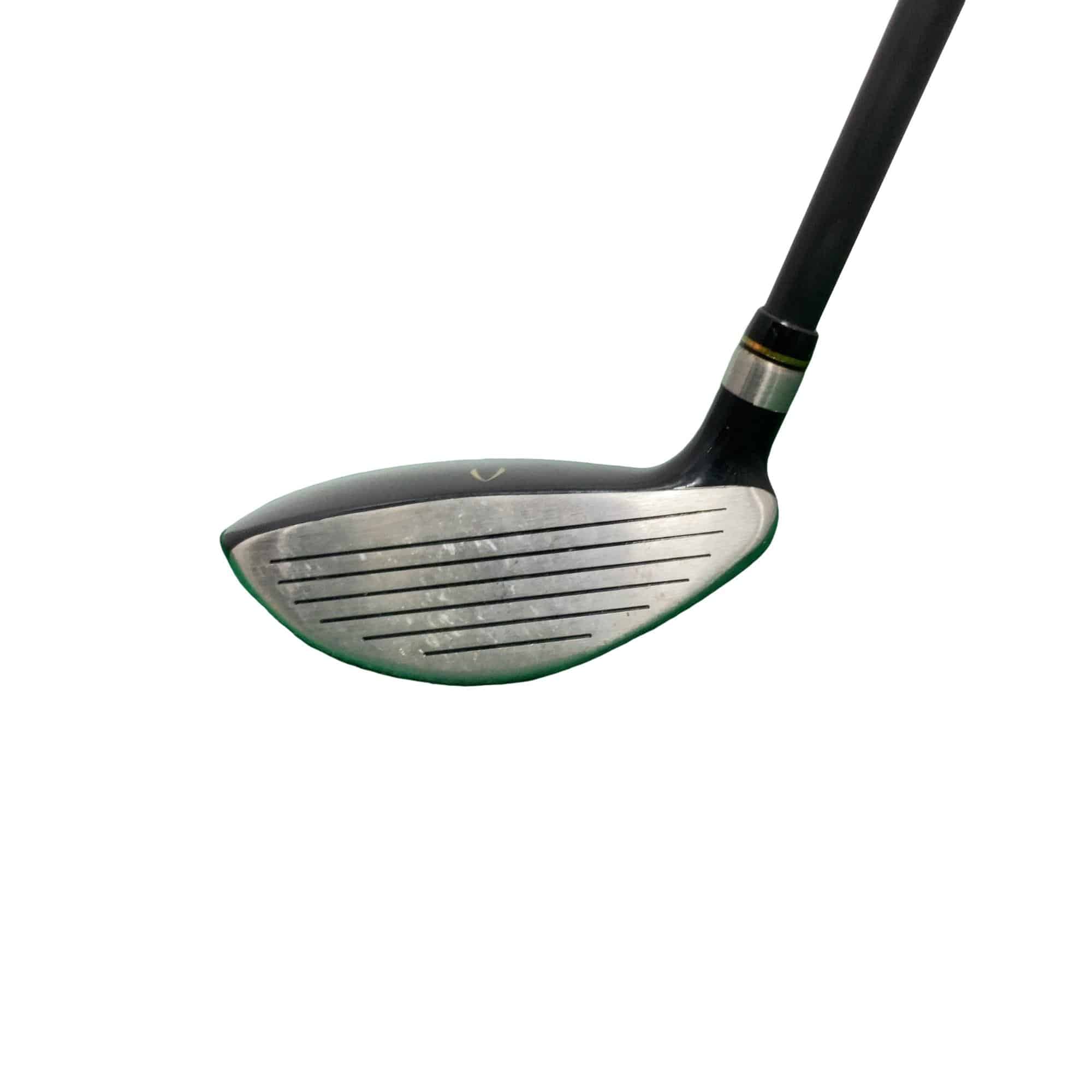 �j�Q�j�@���������O�X���[�e�B���e�B�@�t�T