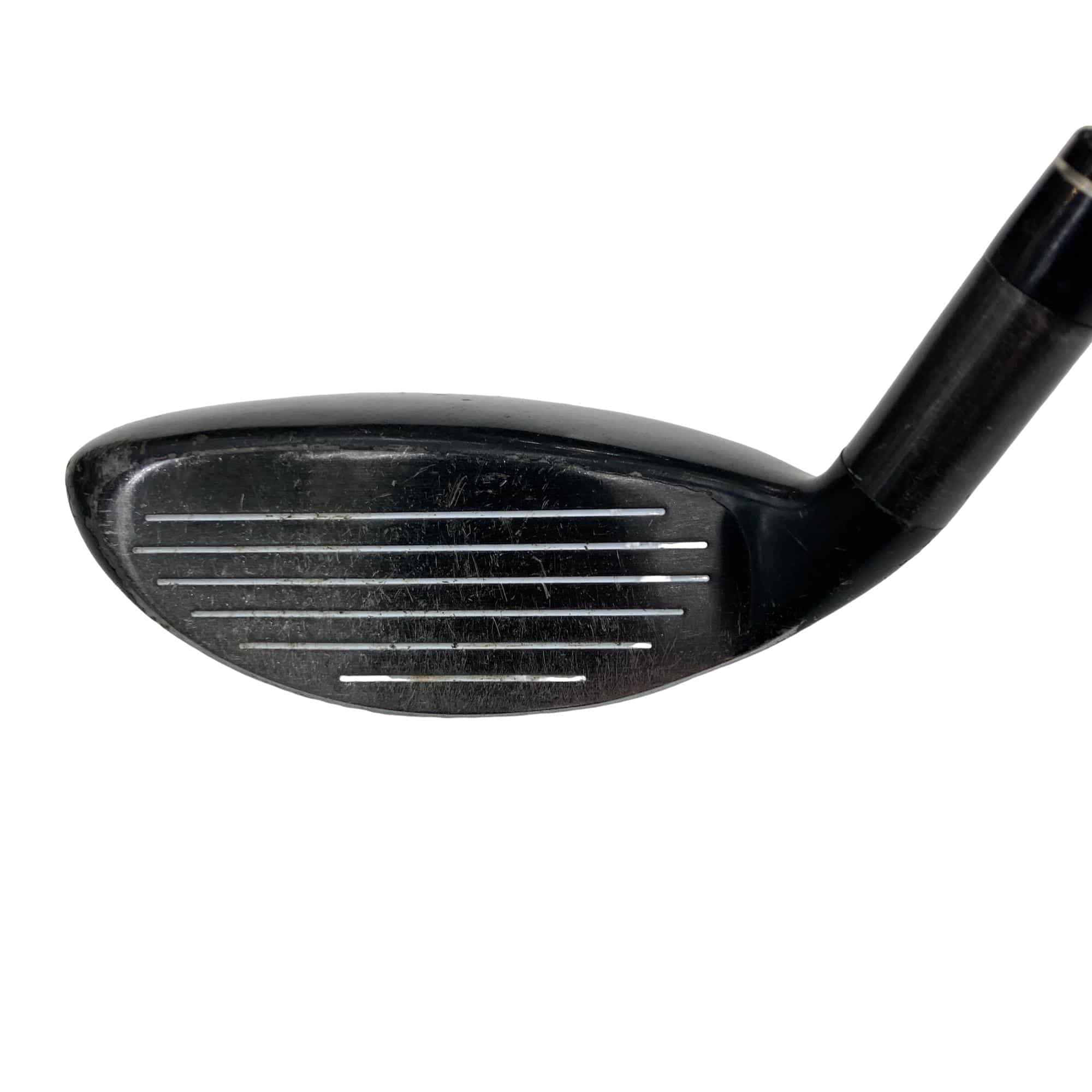 �w�@�g�n�s�@�t�T