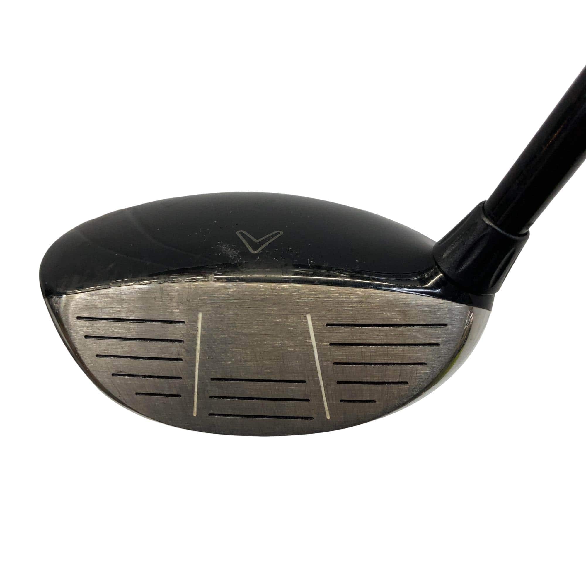 �w�@���[�e�B���e�B�@�S�g�@�t�r�`