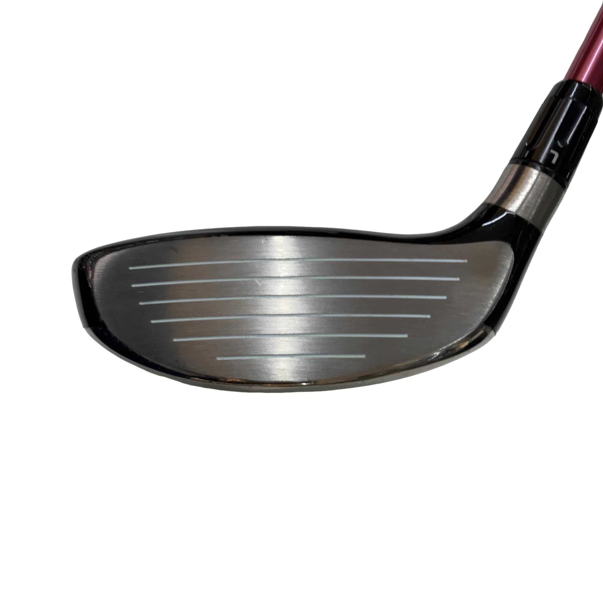 �q�X�@�l�`�w�@�s���@�V�v�@���f�B�[�X