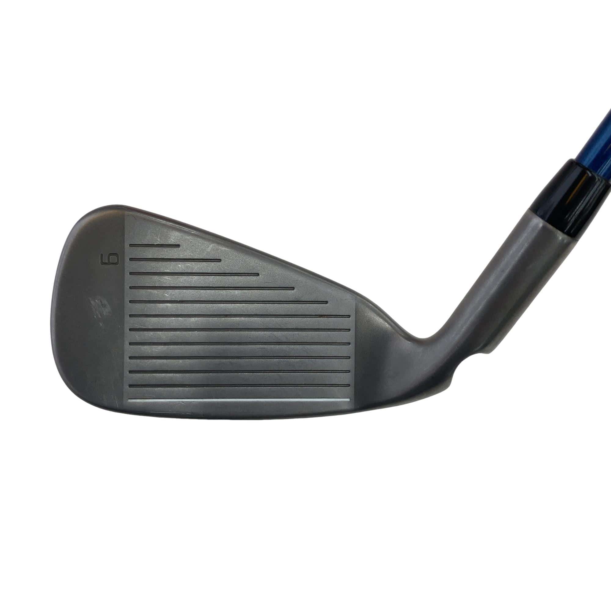 �f�@�l�`�w�@�T�r�i���{���F�T�{�Z�b�g�j