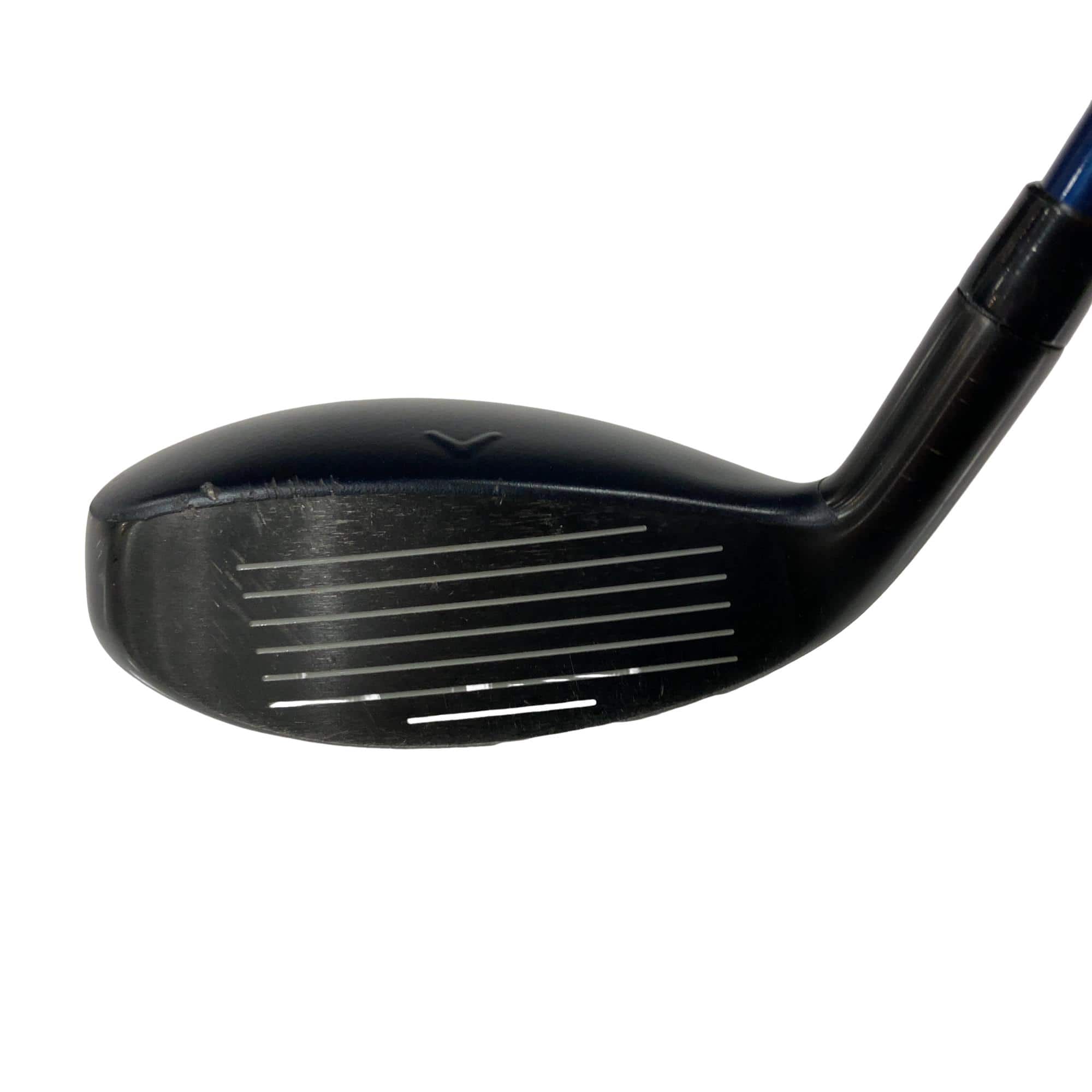 �w�q�@�t�R