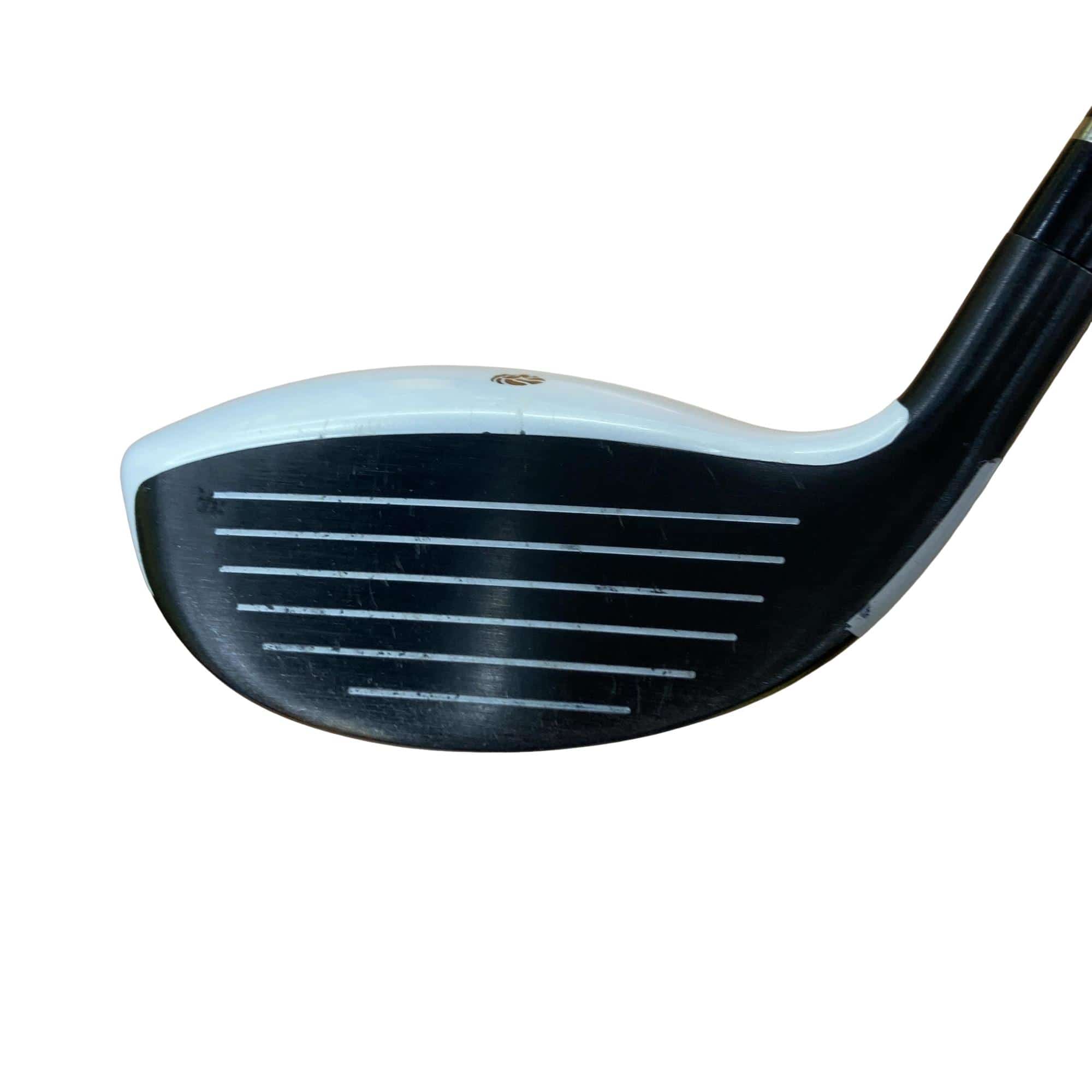 �f�k�n�h�q�d�@�e�i�Q�O�P�U�j�@�T�v