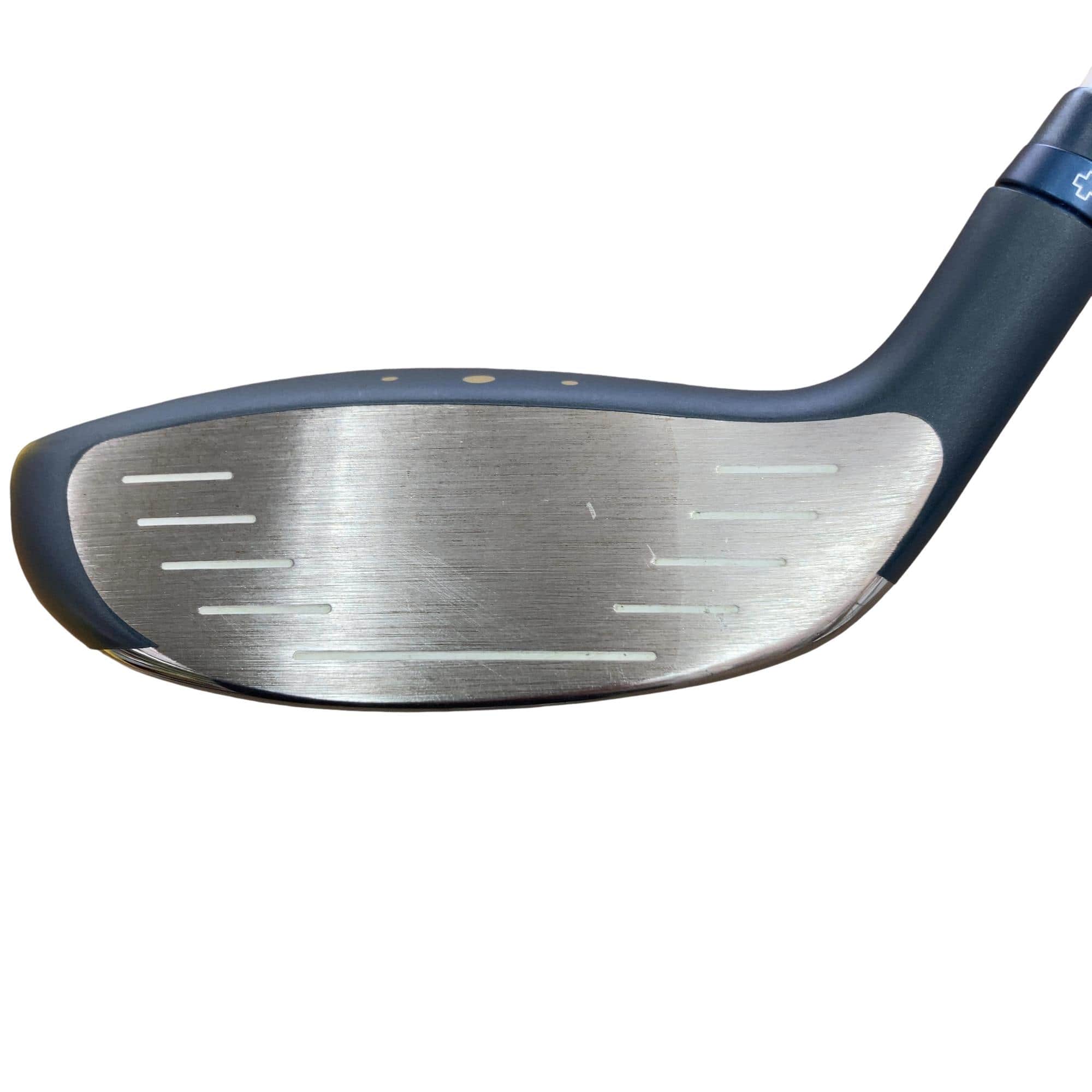 �f�@�k���R�@�R�v�@���f�B�[�X