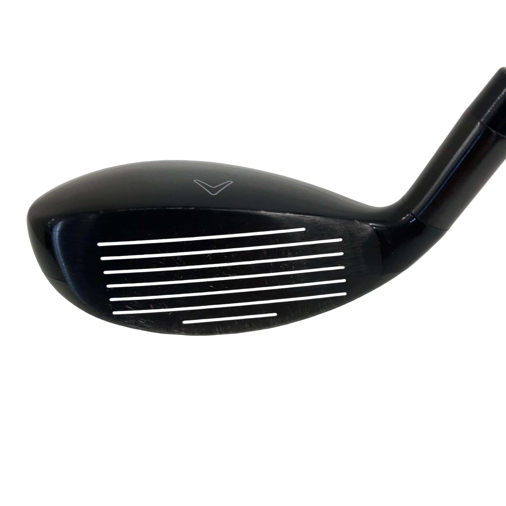 �w�Q�@�g�n�s�@�t�R