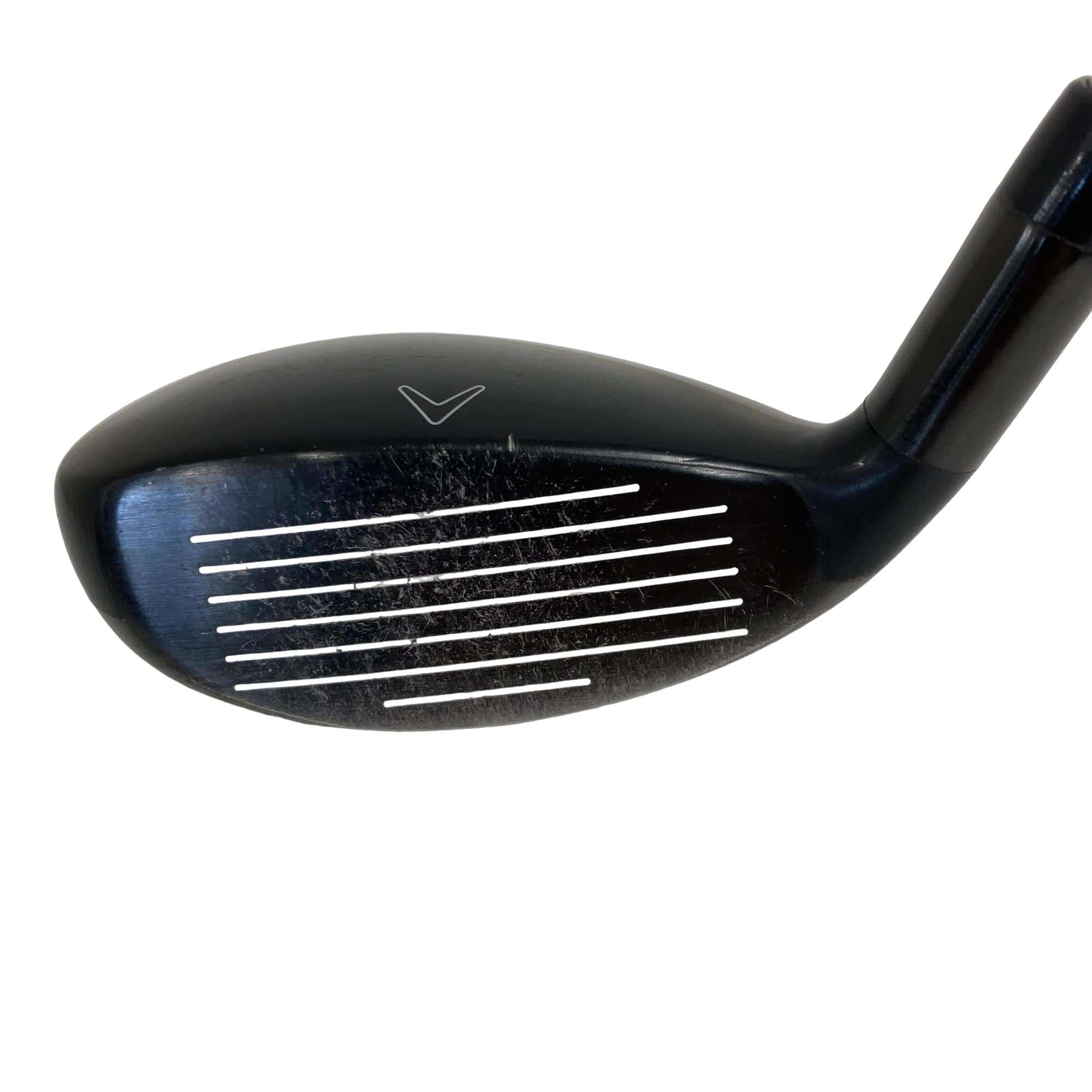 �w�Q�@�g�n�s�@�t�S