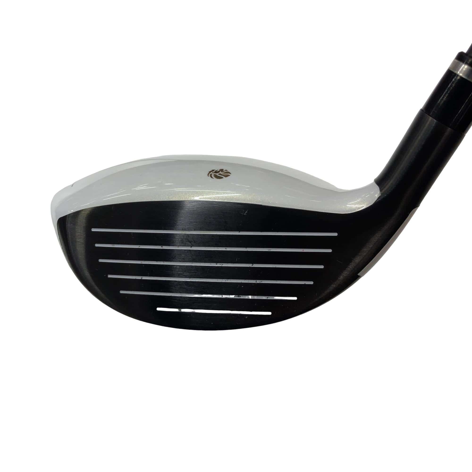 �f�k�n�h�q�d�@�e�i�Q�O�P�U�j�@�T�v