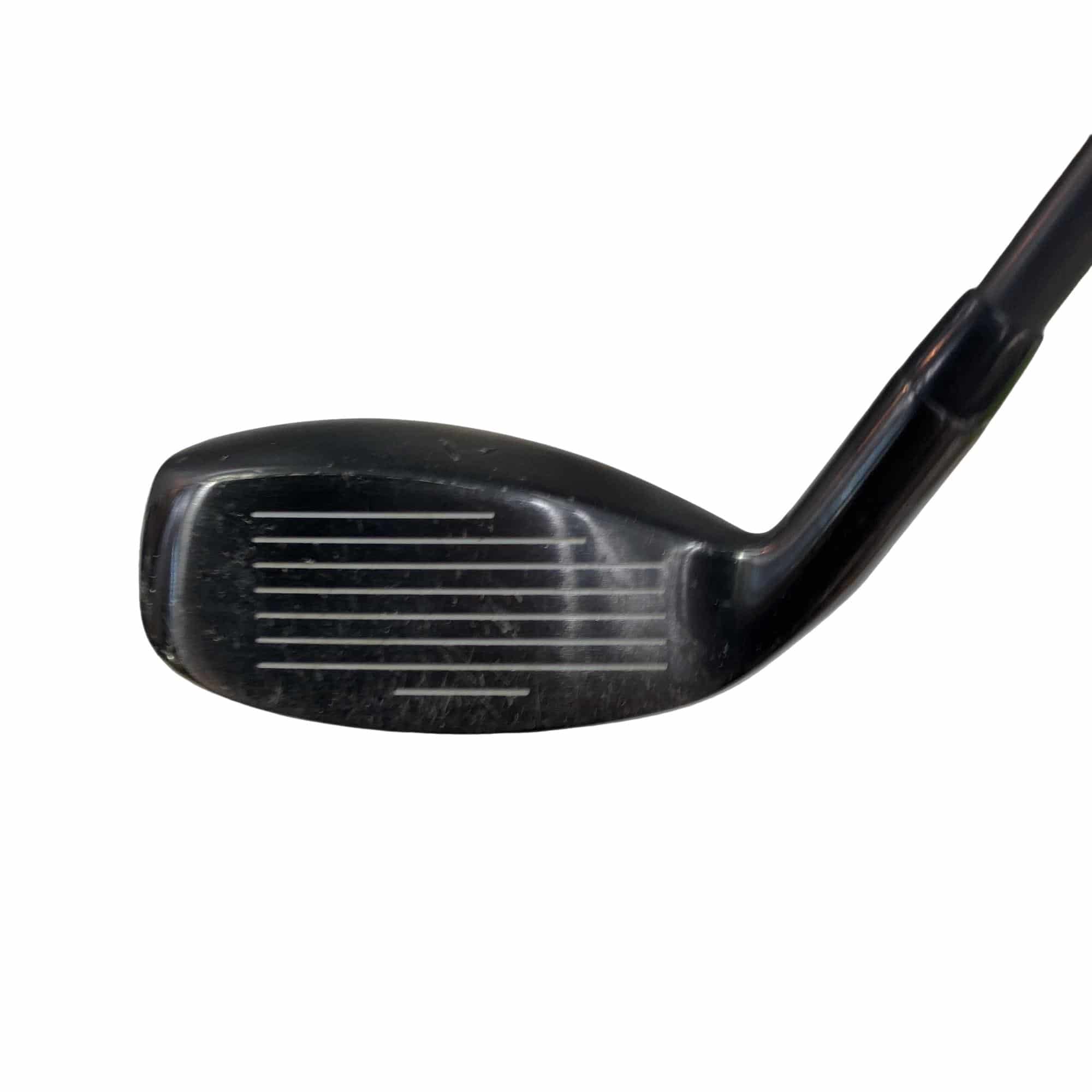 �w�q�@�P�U�@�n�r�@�t�T�@���f�B�[�X�@�t�r�`