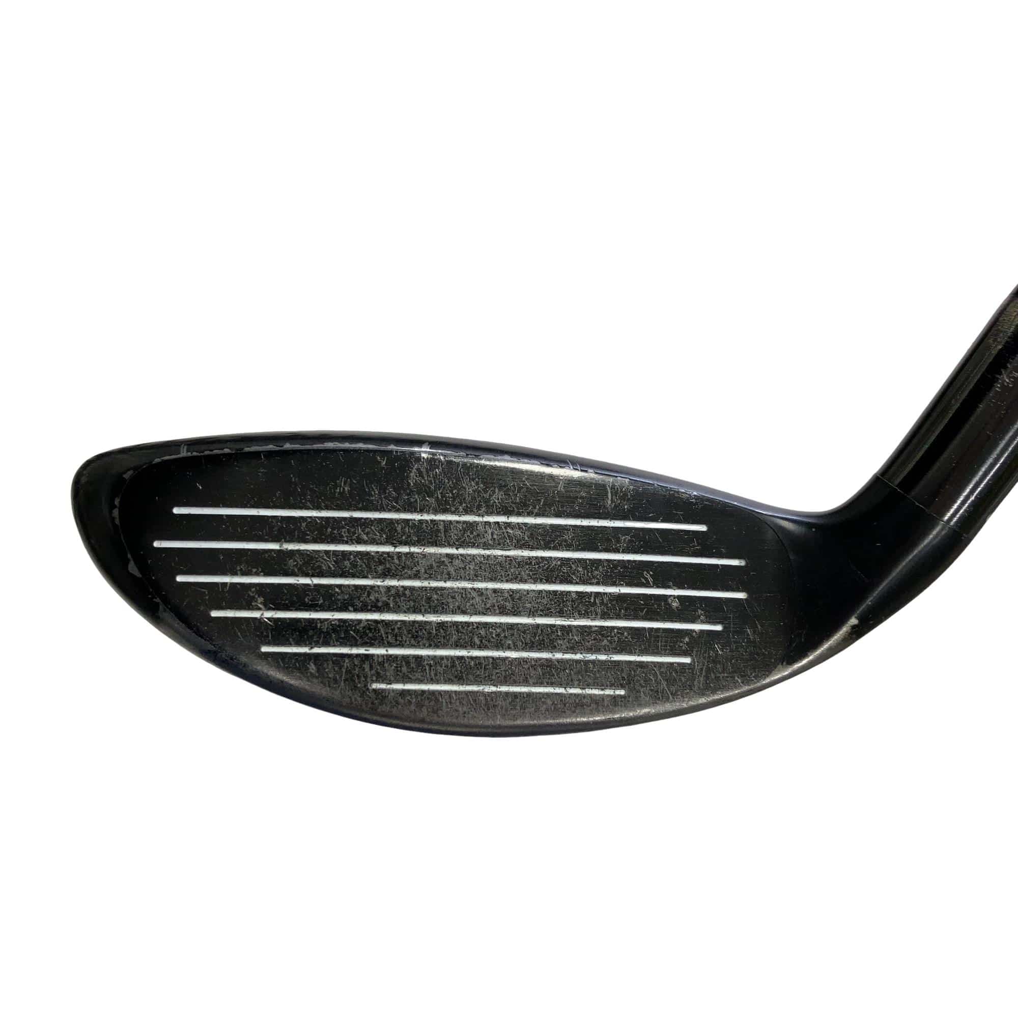 �w�@�g�n�s�@�t�S