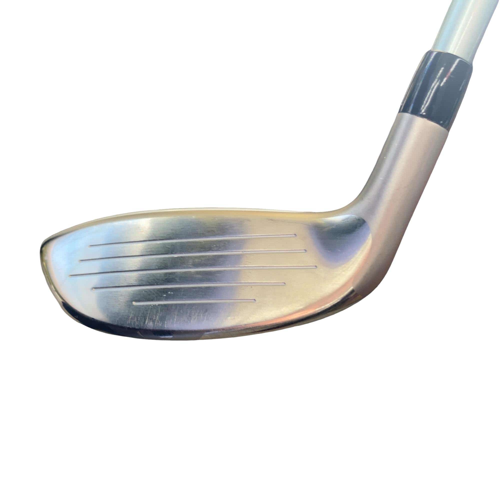 �a�q�|�w�@�t�T�@���f�B�[�X