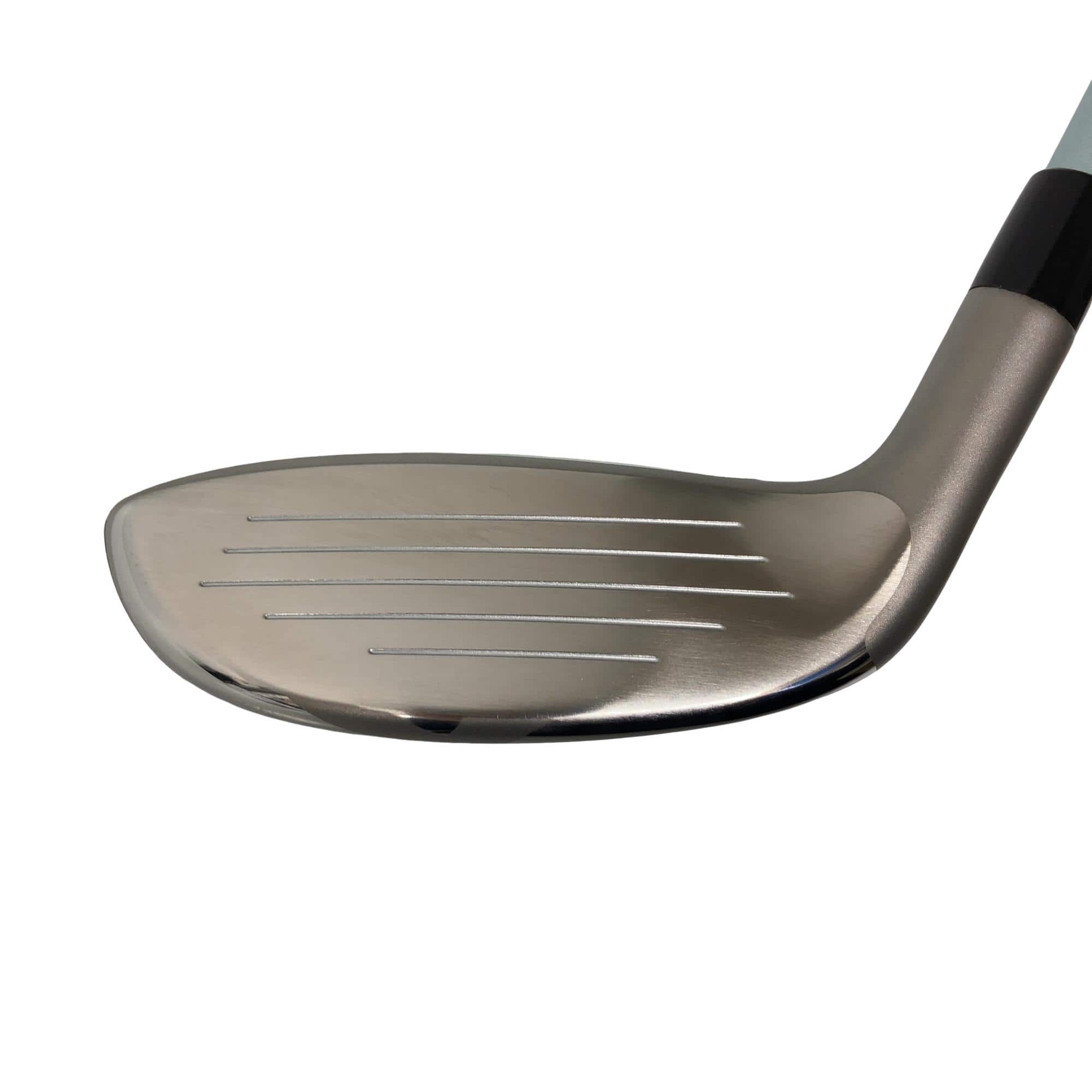 �a�q�|�w�@�t�T�@���f�B�[�X