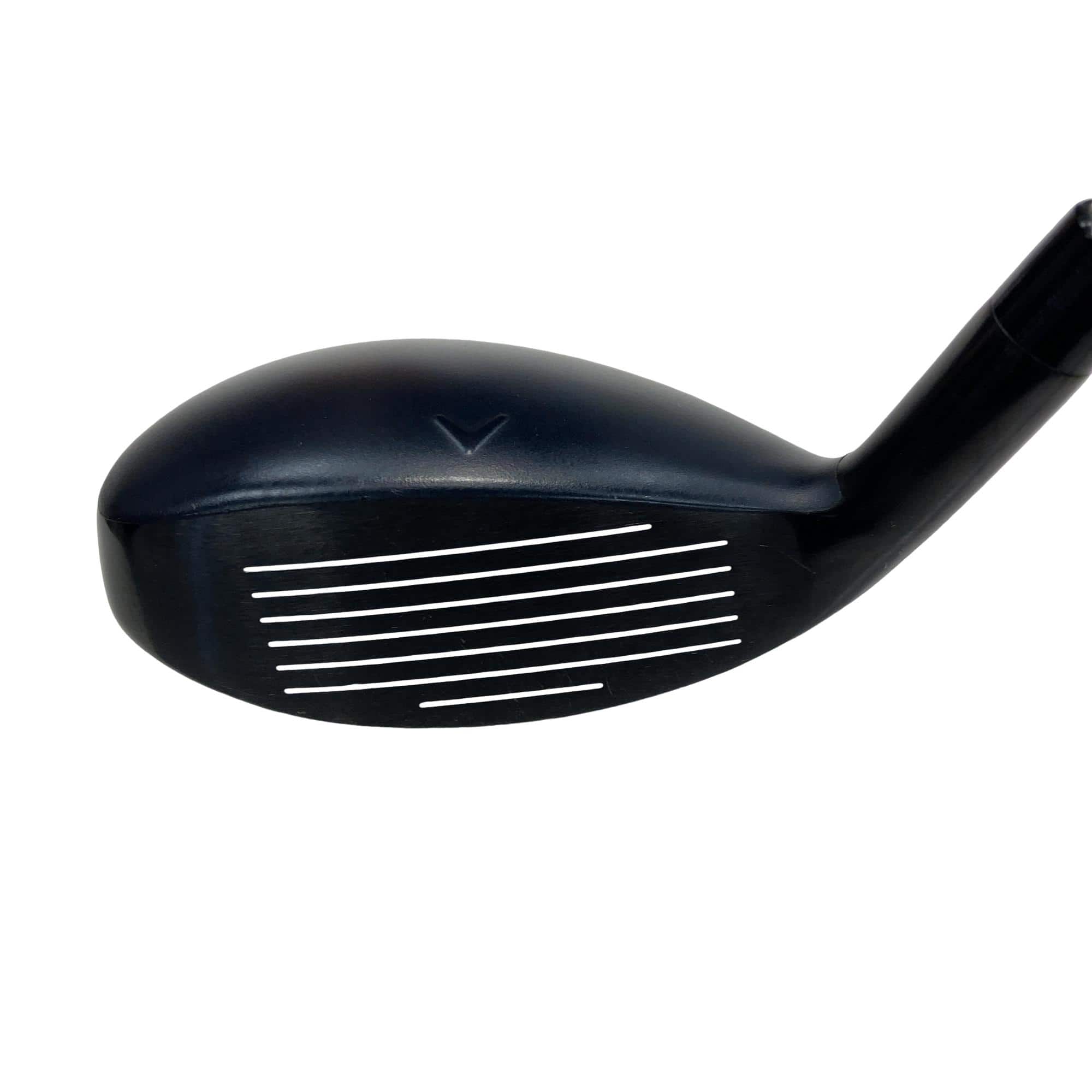 �w�q�@�t�S