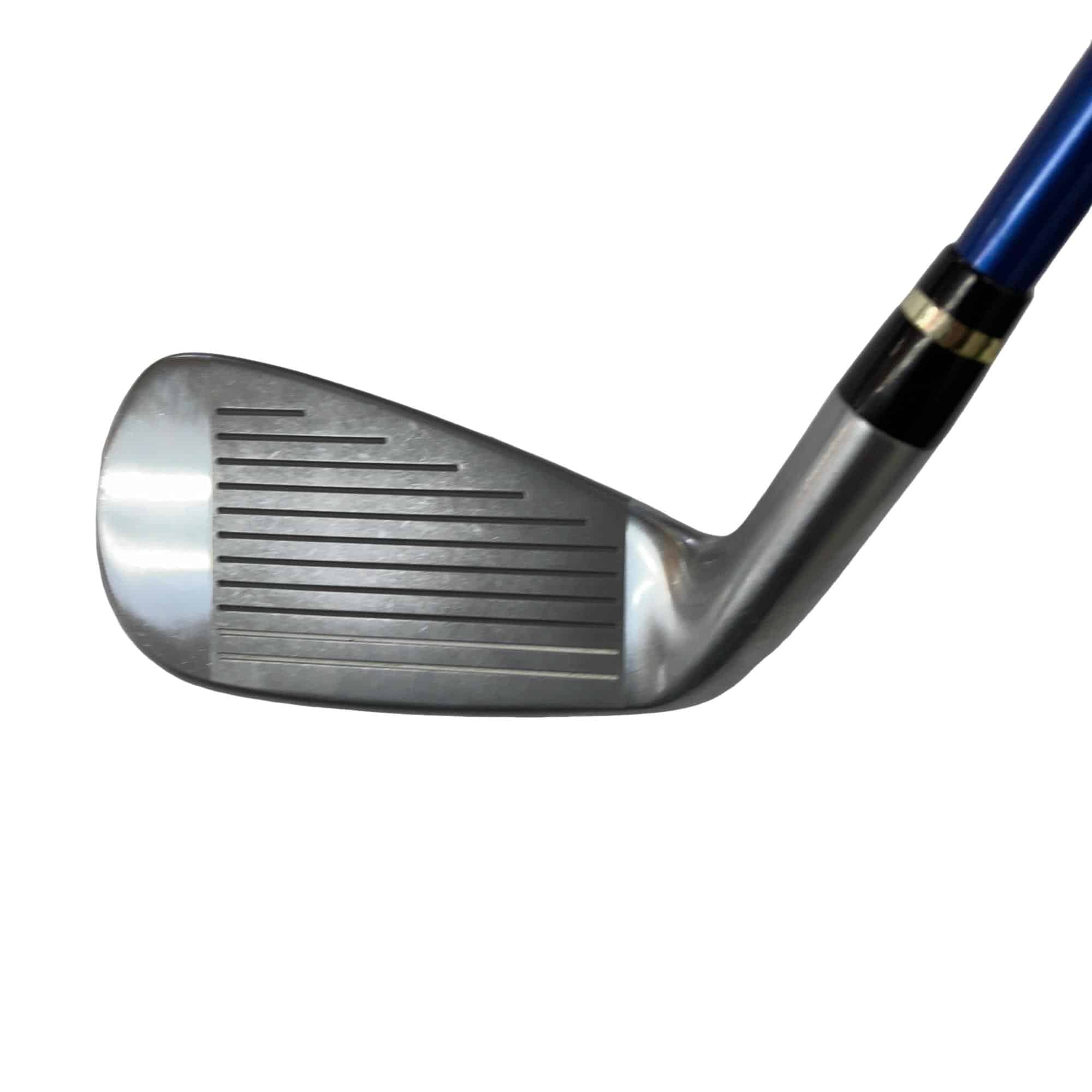 �������������@�t�c�{�Q�@�U�r�i���{���F�T�{�Z�b�g�j