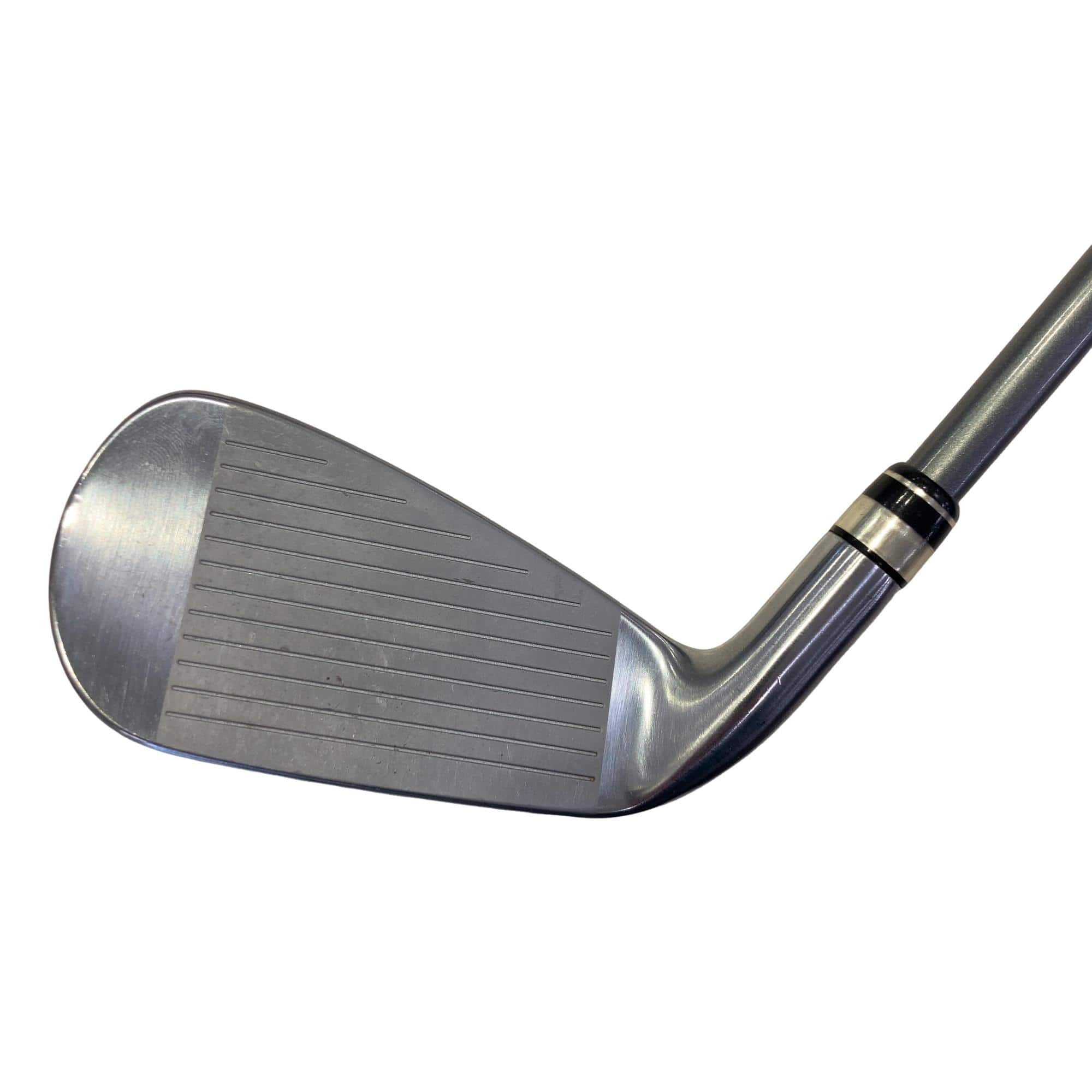 �������i�Q�O�P�X�j�@�V�r�@���f�B�[�X�i���{���F�U�{�Z�b�g�j