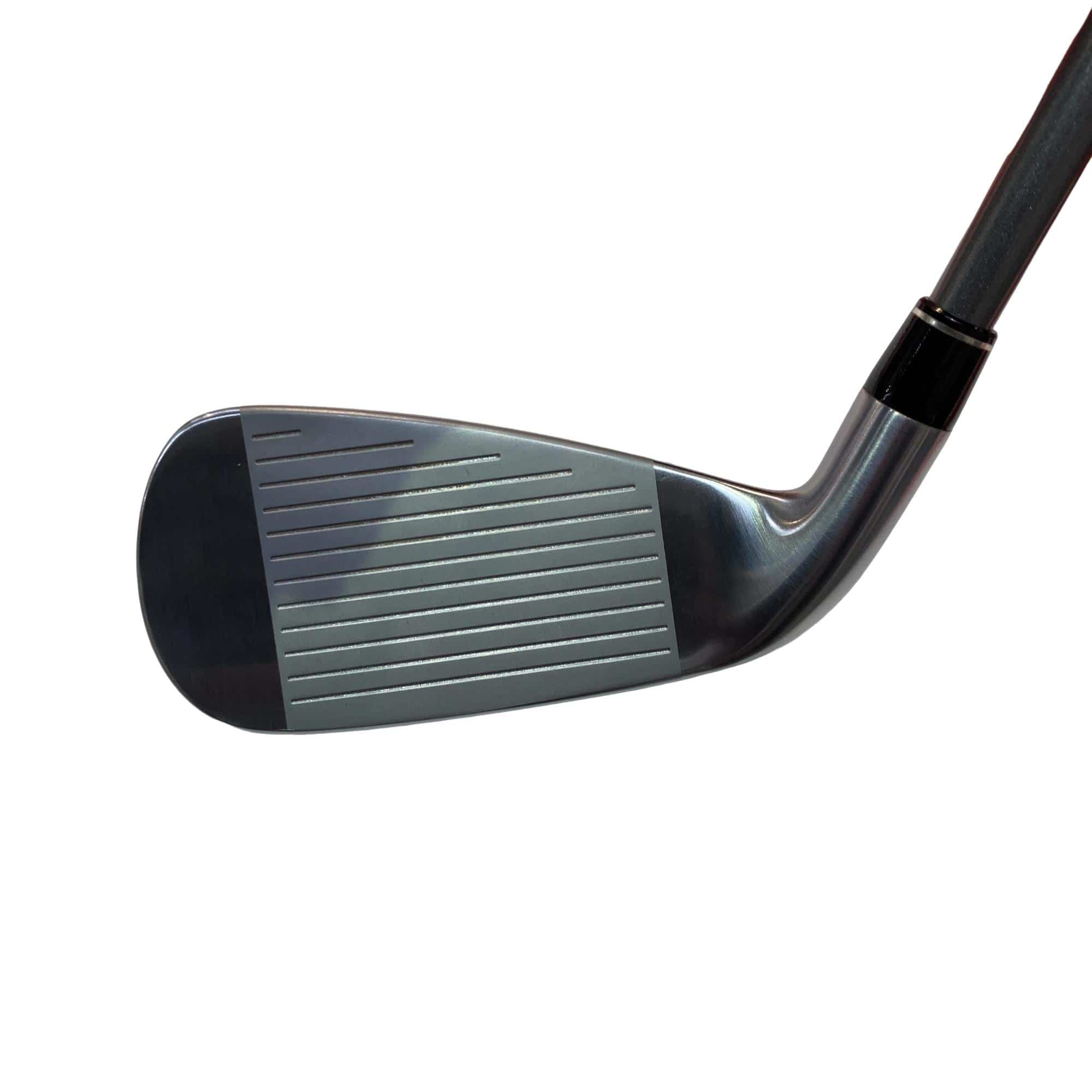 �������@���{�i�Q�O�P�X�j�@�t�T