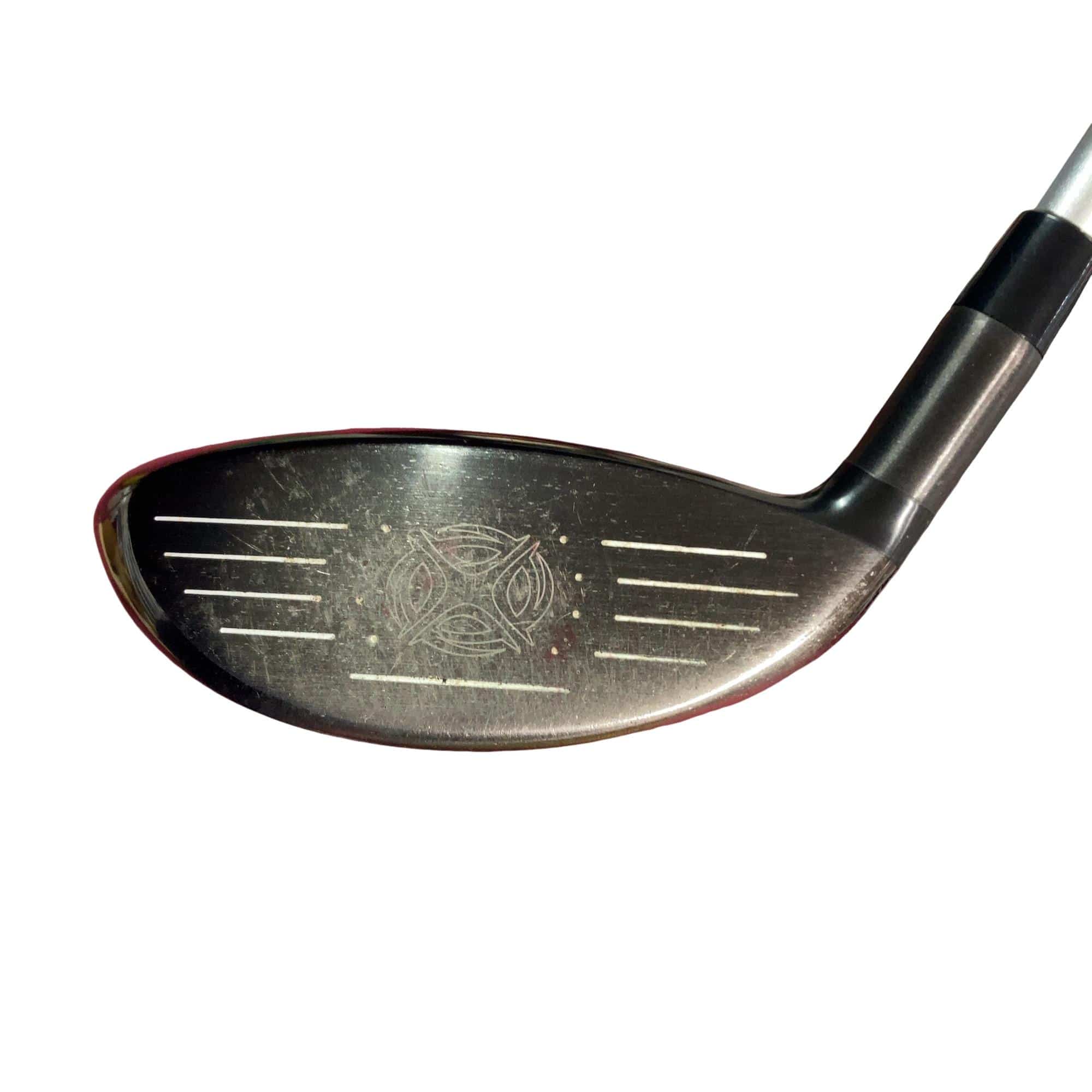 �w�@�g�n�s�@�@�S�v