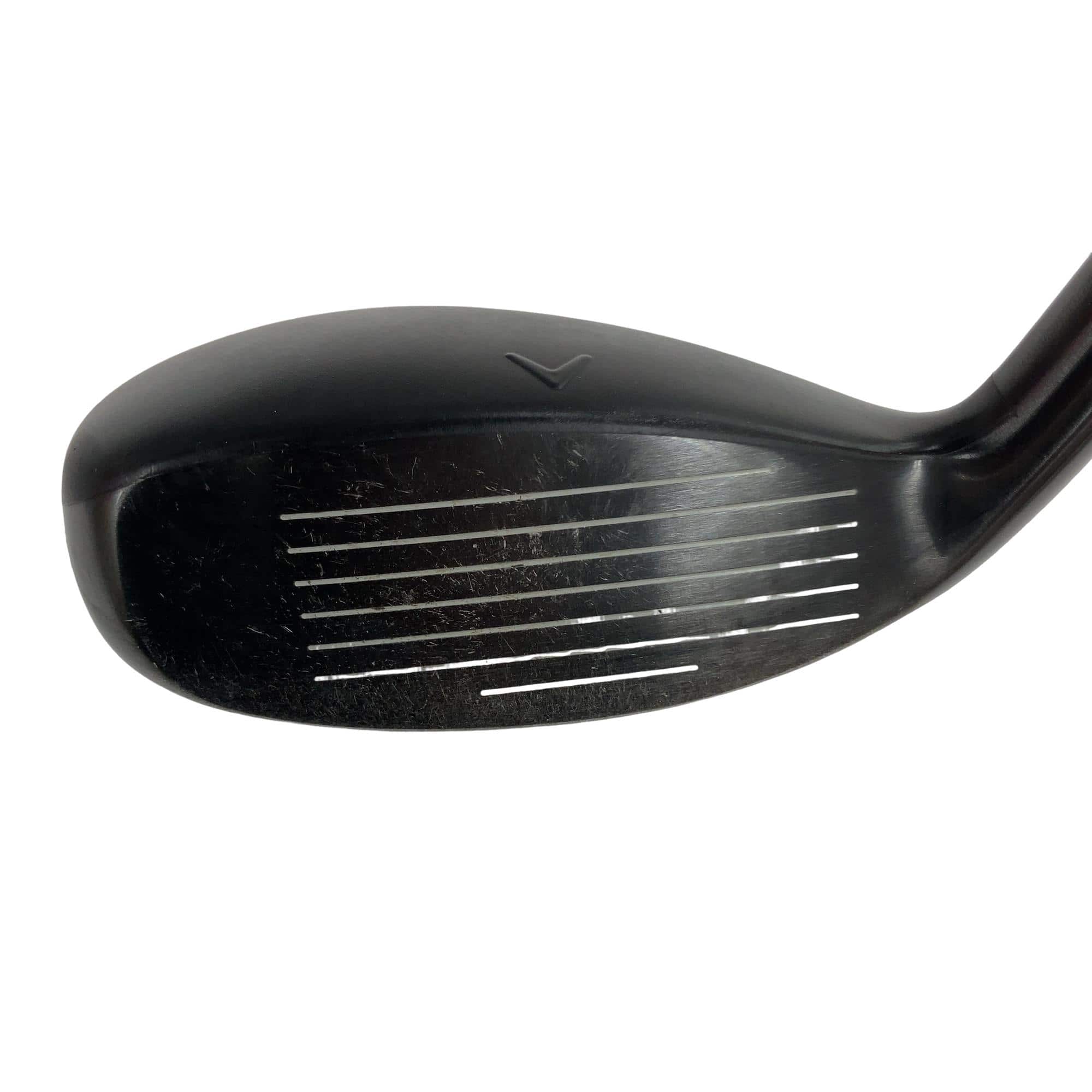 �w�q�@�P�U�@�n�r�@�t�R