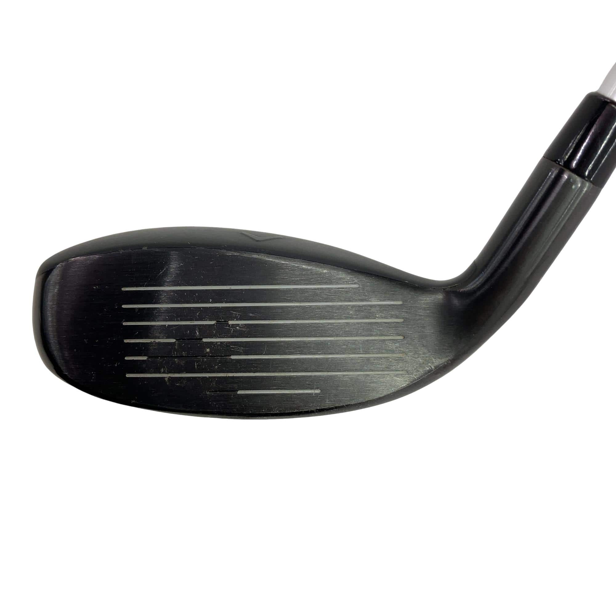 �w�q�@�P�U�@�n�r�@�t�S