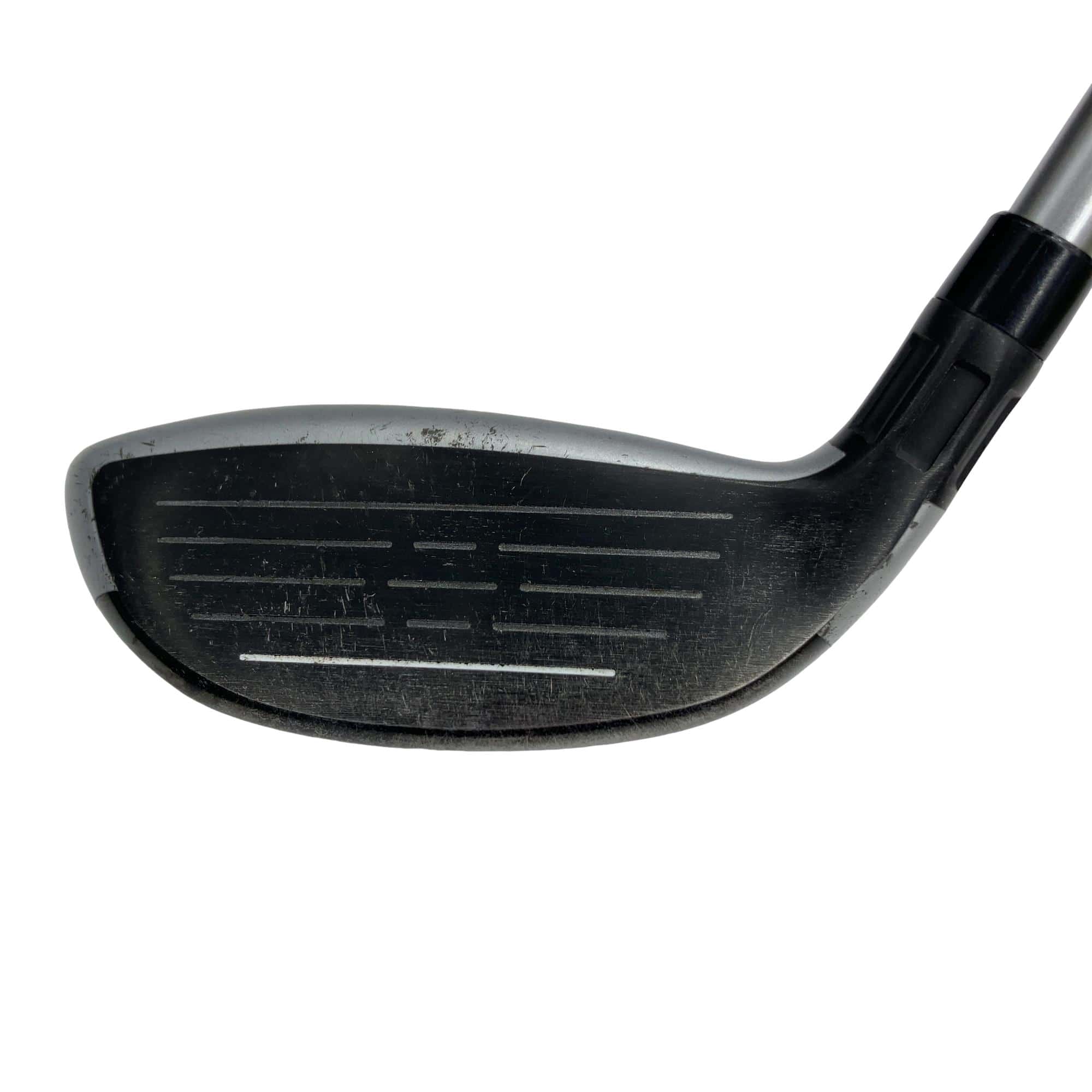 �l�S�@�t�S�@���f�B�[�X